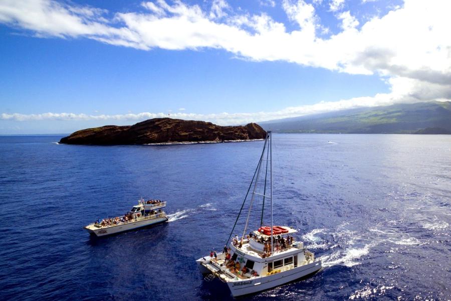 Photo 1 of MCC Four Winds and Maui Magic Snorkel Tour Boats in Kīhei, Maui