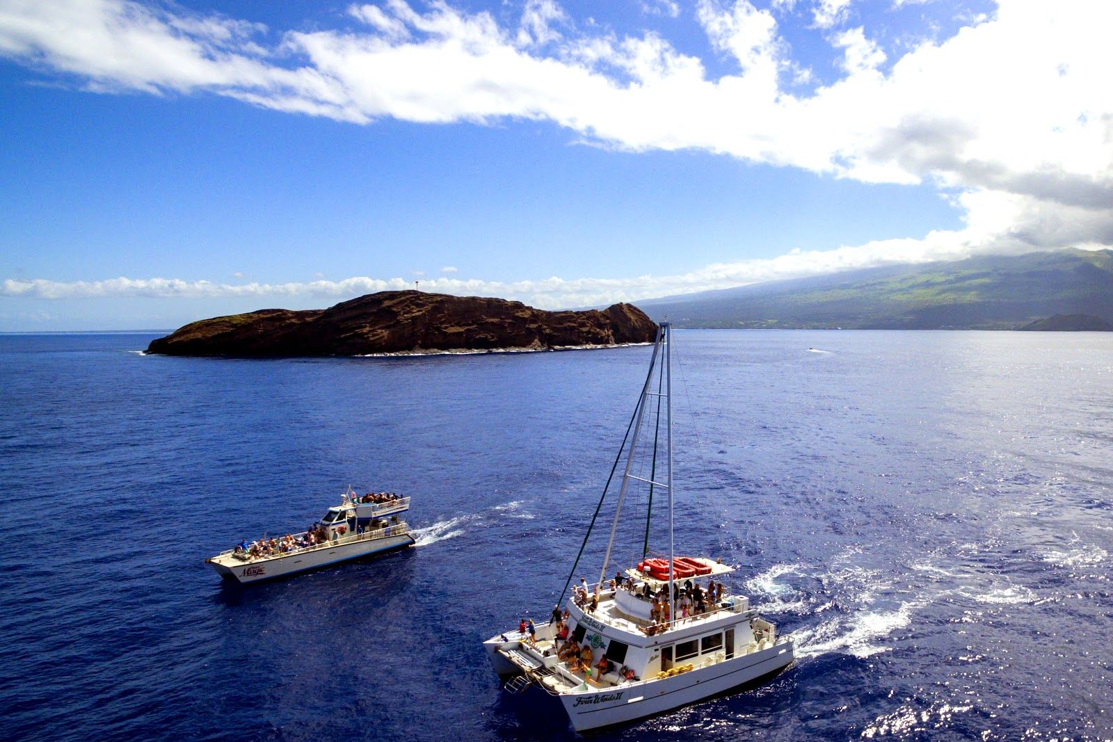 Photo 1 of MCC Four Winds and Maui Magic Snorkel Tour Boats in Kīhei, Maui