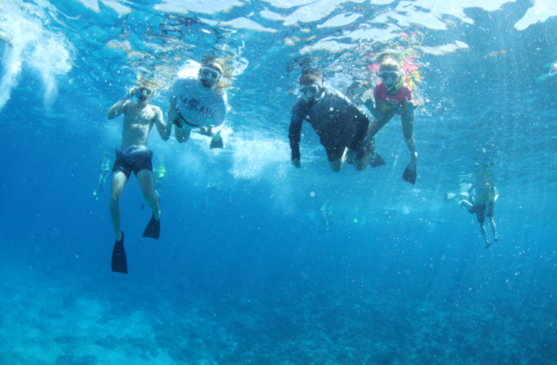 Photo 2 of Malolo Molokini Snorkeling Tours in Māʻalaea, Maui