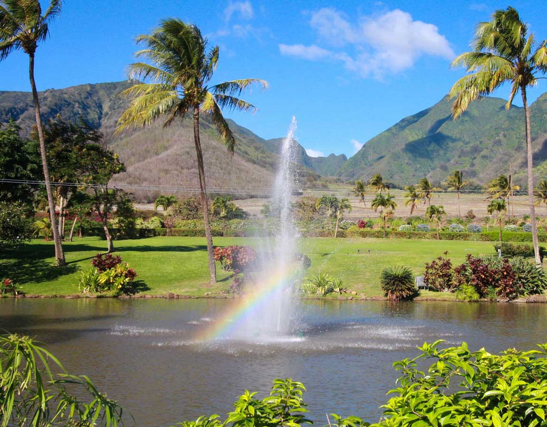 Photo 2 of Maui Zipline Company in Wailuku, Maui