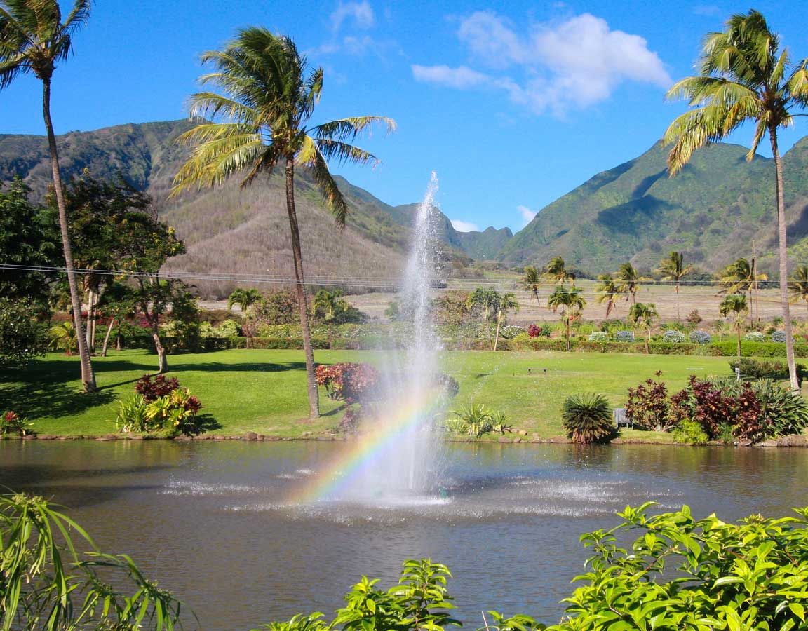 Photo 2 of Maui Zipline Company in Wailuku, Maui