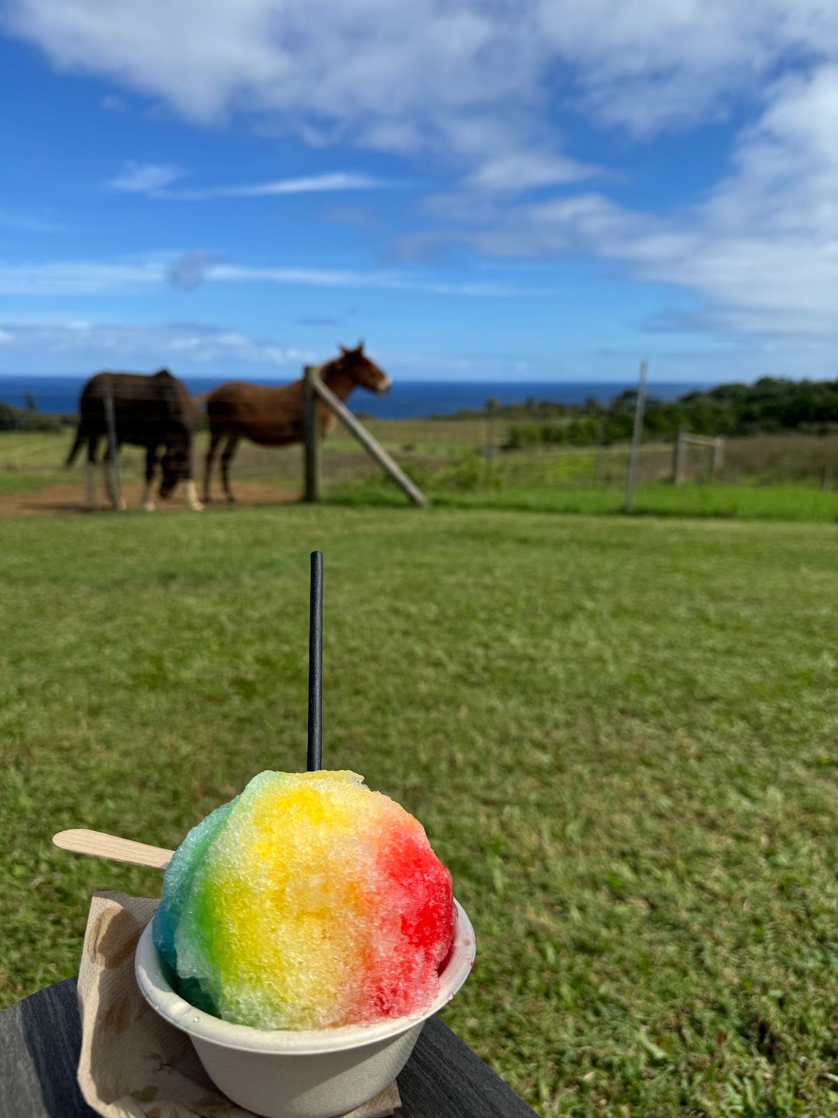 Photo 9 of Fresh Off the Grid, Kohala. in North Kohala, Big Island