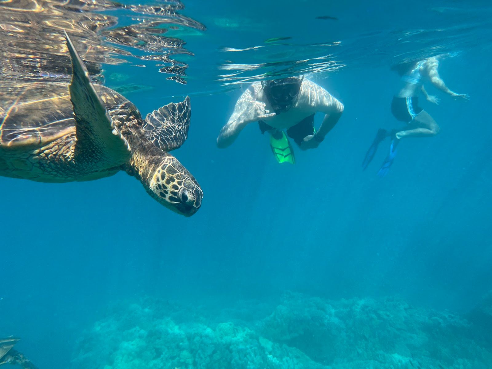 Photo 3 of Kelii's Kayak Tours in Mākena, Maui