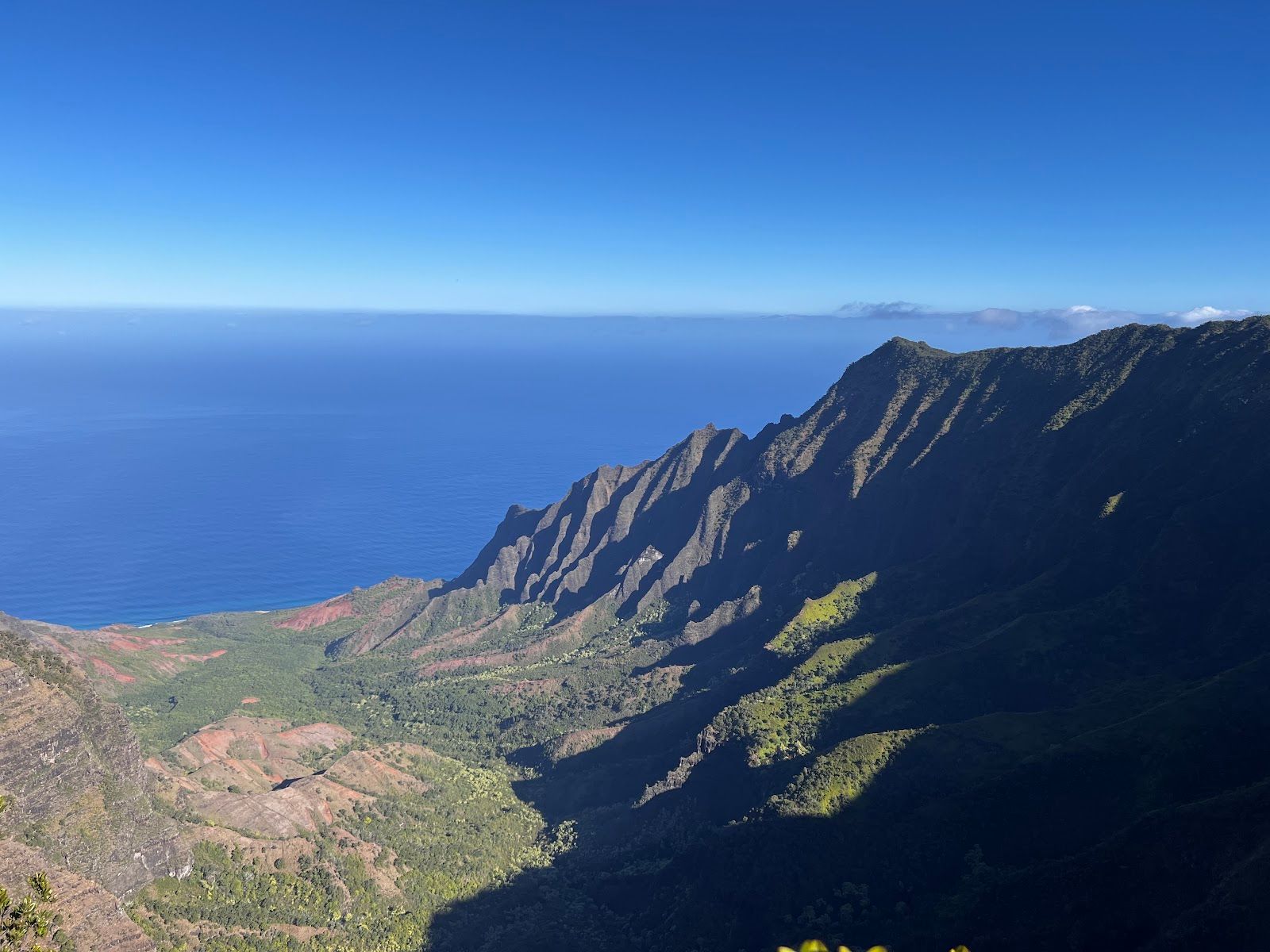 Pihea Trail in Hanapepe, Kaua‘i photo 7