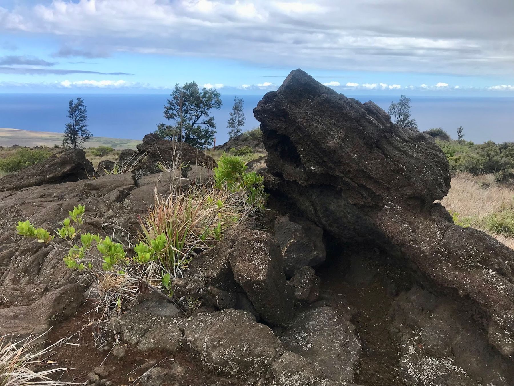 Photo 8 of Hilina Pali Overlook in Volcano, Big Island