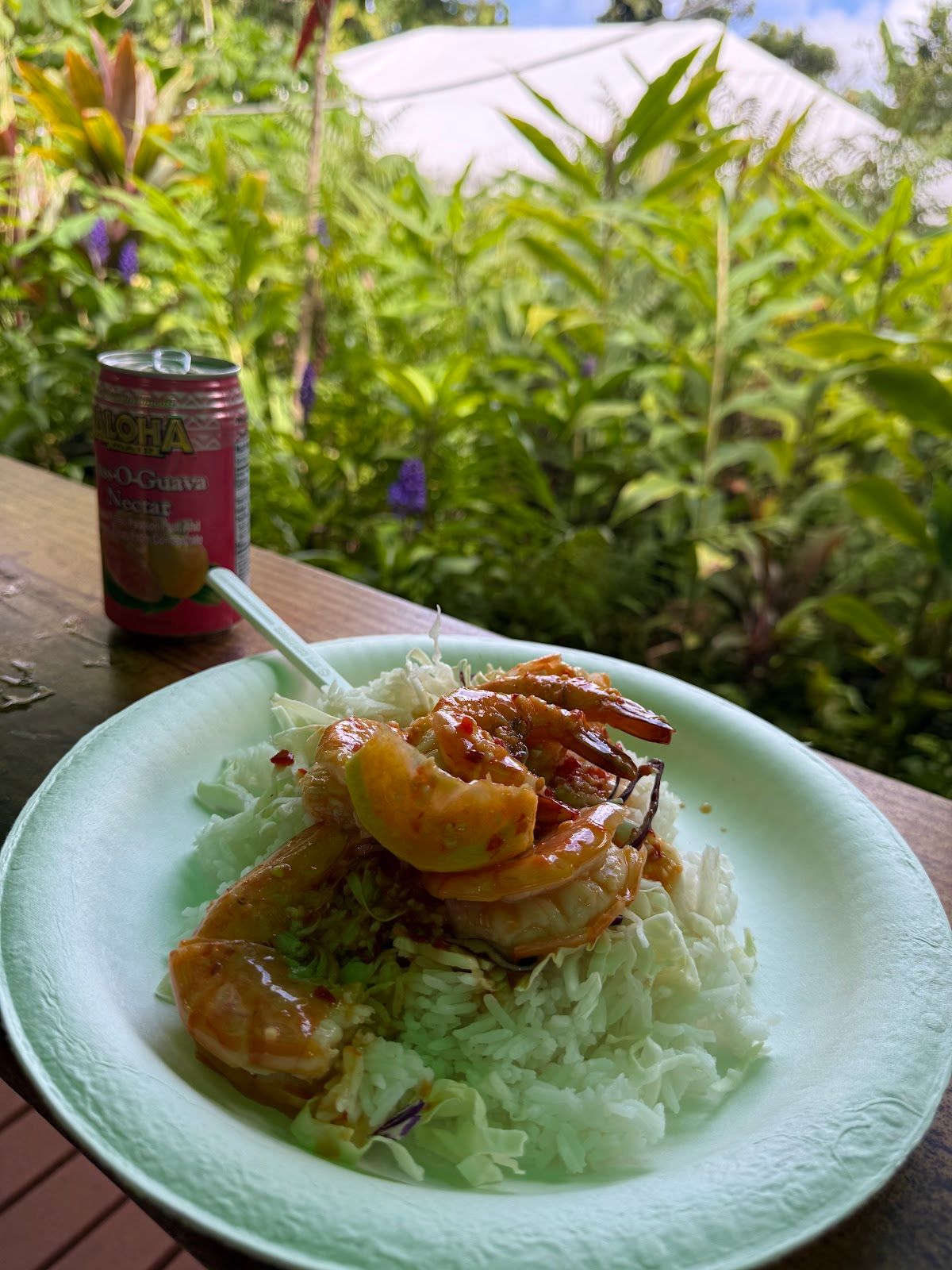 Photo 9 of Island Chef in Keʻanae-Nāhiku, Maui