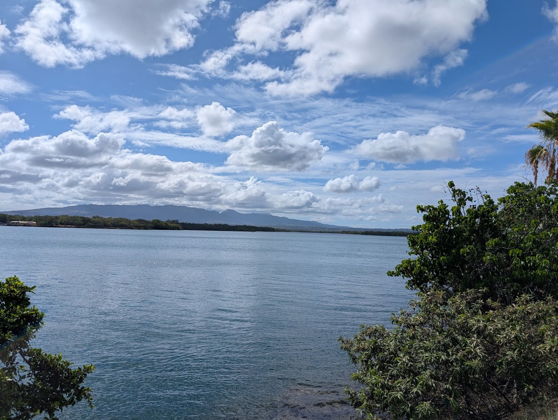 Photo 6 of Wright Brothers Café & Grille in Pearl Harbor & ʻAiea, Oahu