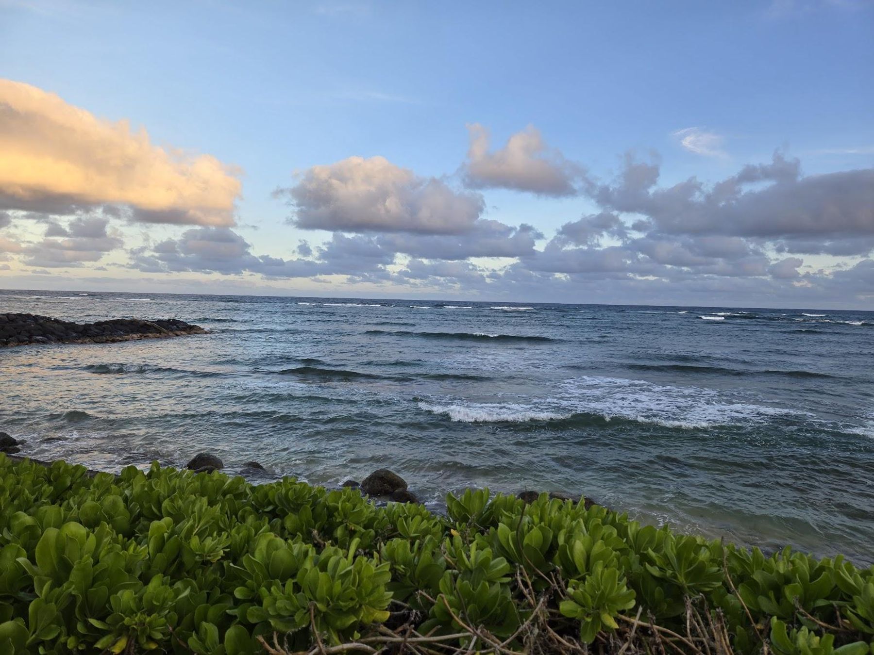 Bull Shed Restaurant restaurant in Kapaʻa, Kaua‘i photo 4