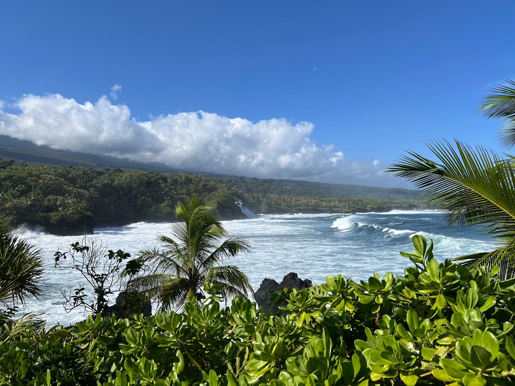 Photo 5 of Kahanu Garden, National Tropical Botanical Garden in Keʻanae-Nāhiku, Maui
