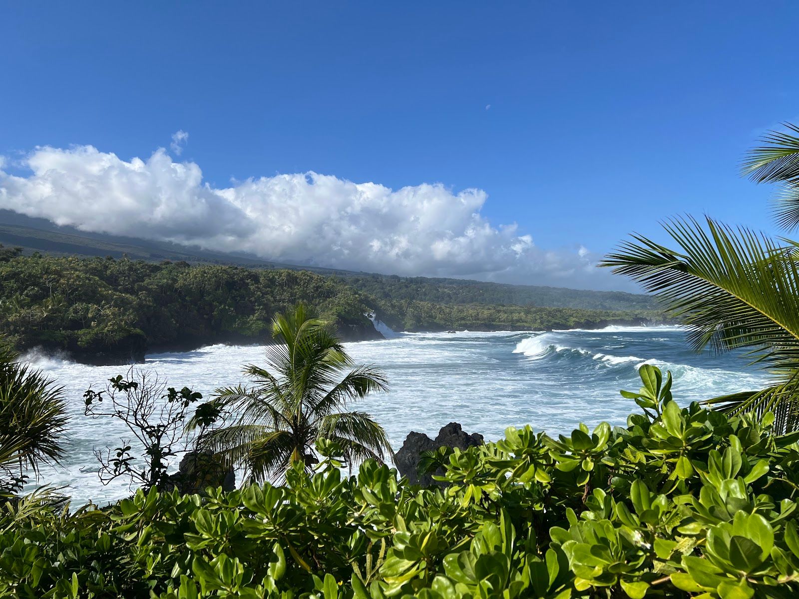 Photo 5 of Kahanu Garden, National Tropical Botanical Garden in Keʻanae-Nāhiku, Maui