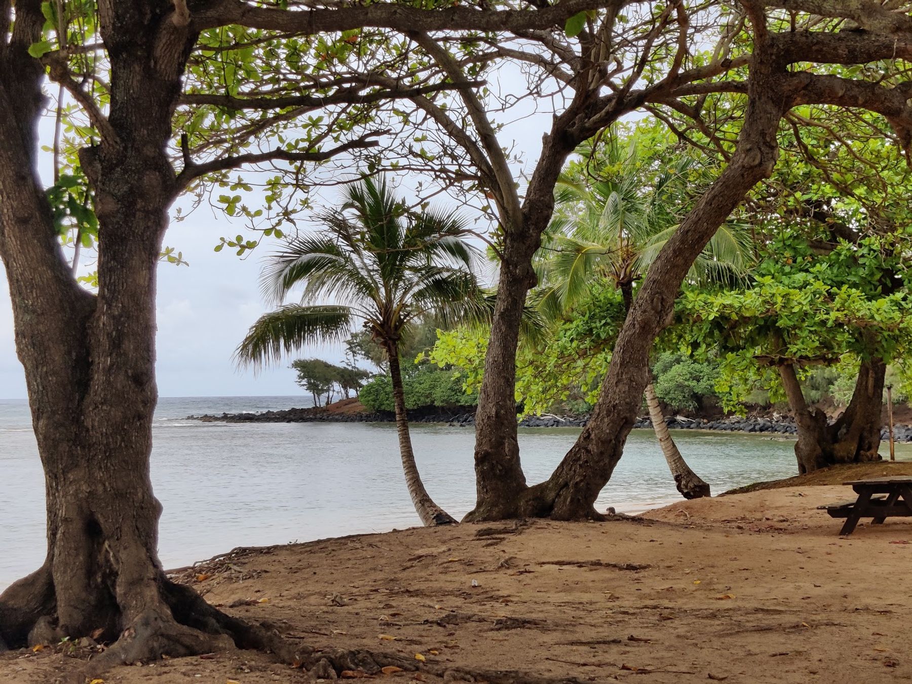 Anahola Beach Park in Anahola, Kaua‘i photo 4