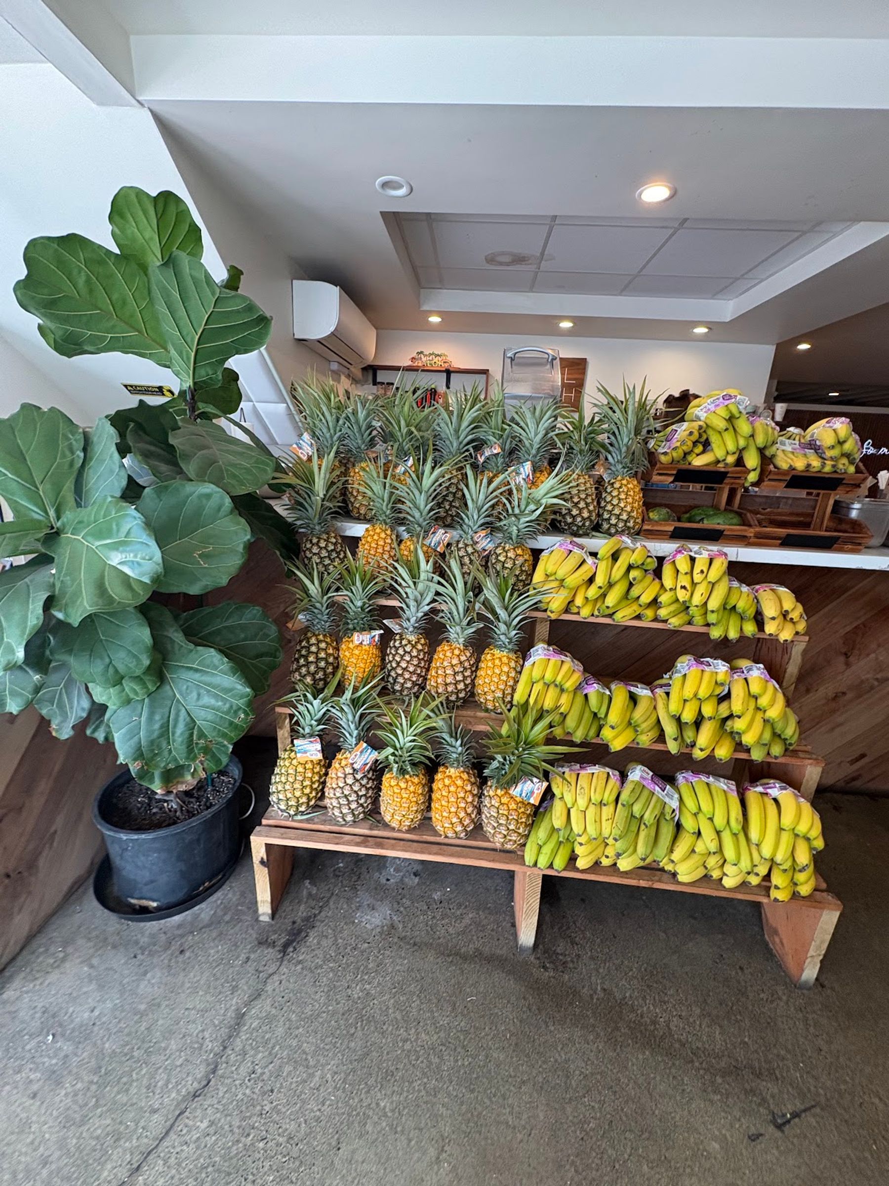 Photo 2 of ALOH Health Bar & Cafe in Waikīkī, Oahu