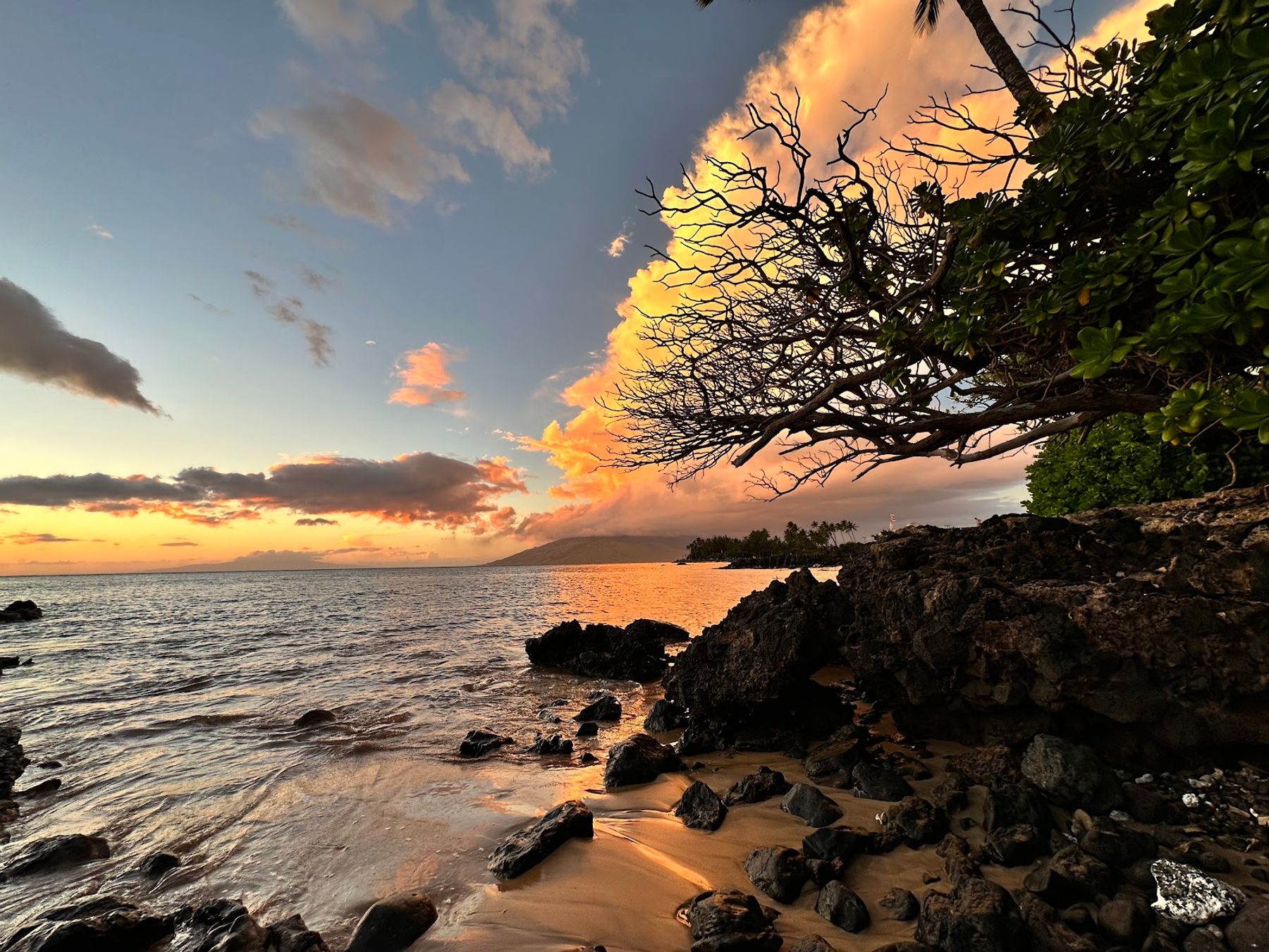 Photo 2 of Cove Beach Park in Kīhei, Maui