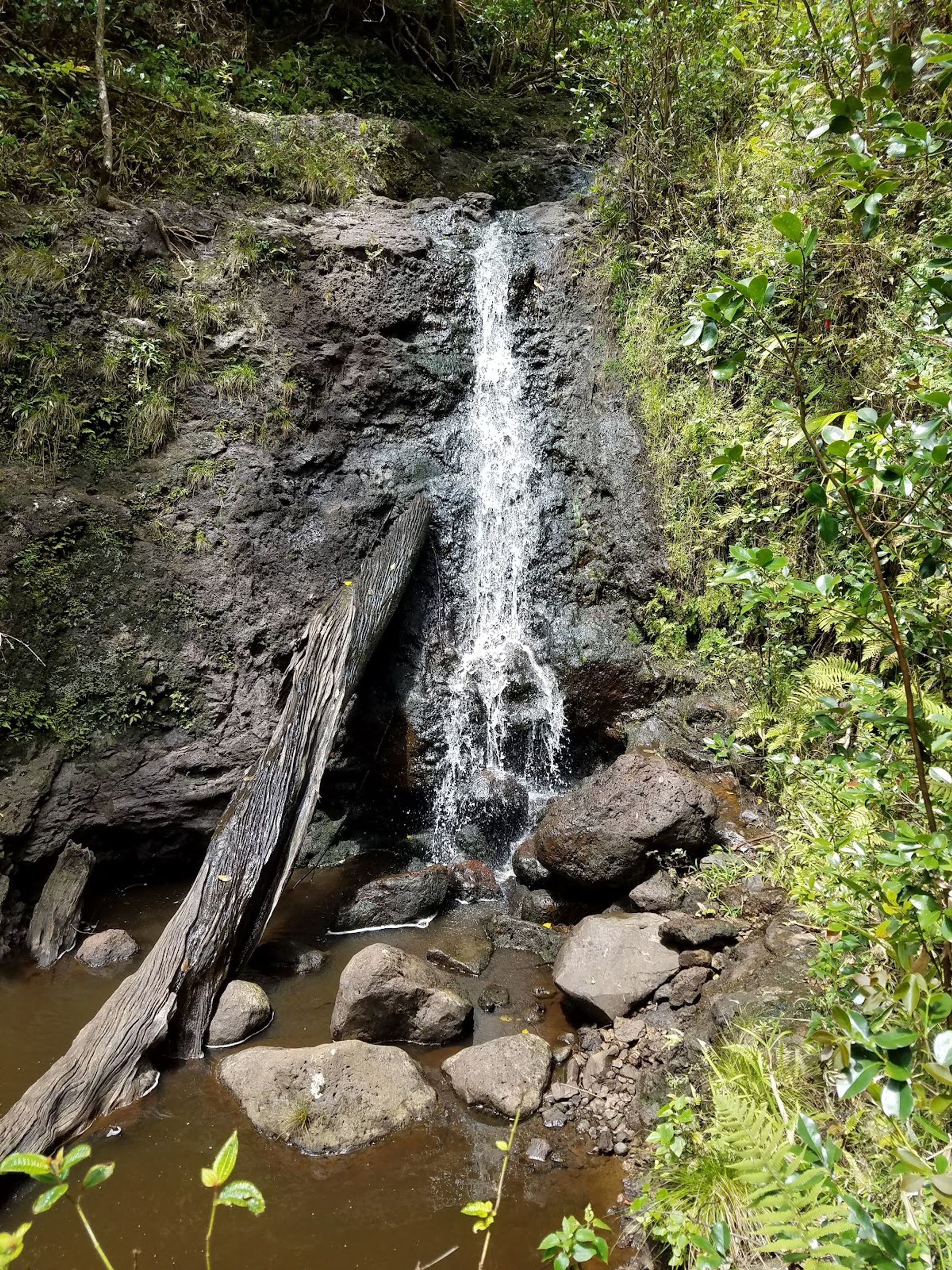 Photo 4 of Kaʻau Crater Trail in Kaimukī & Pālolo, Oahu