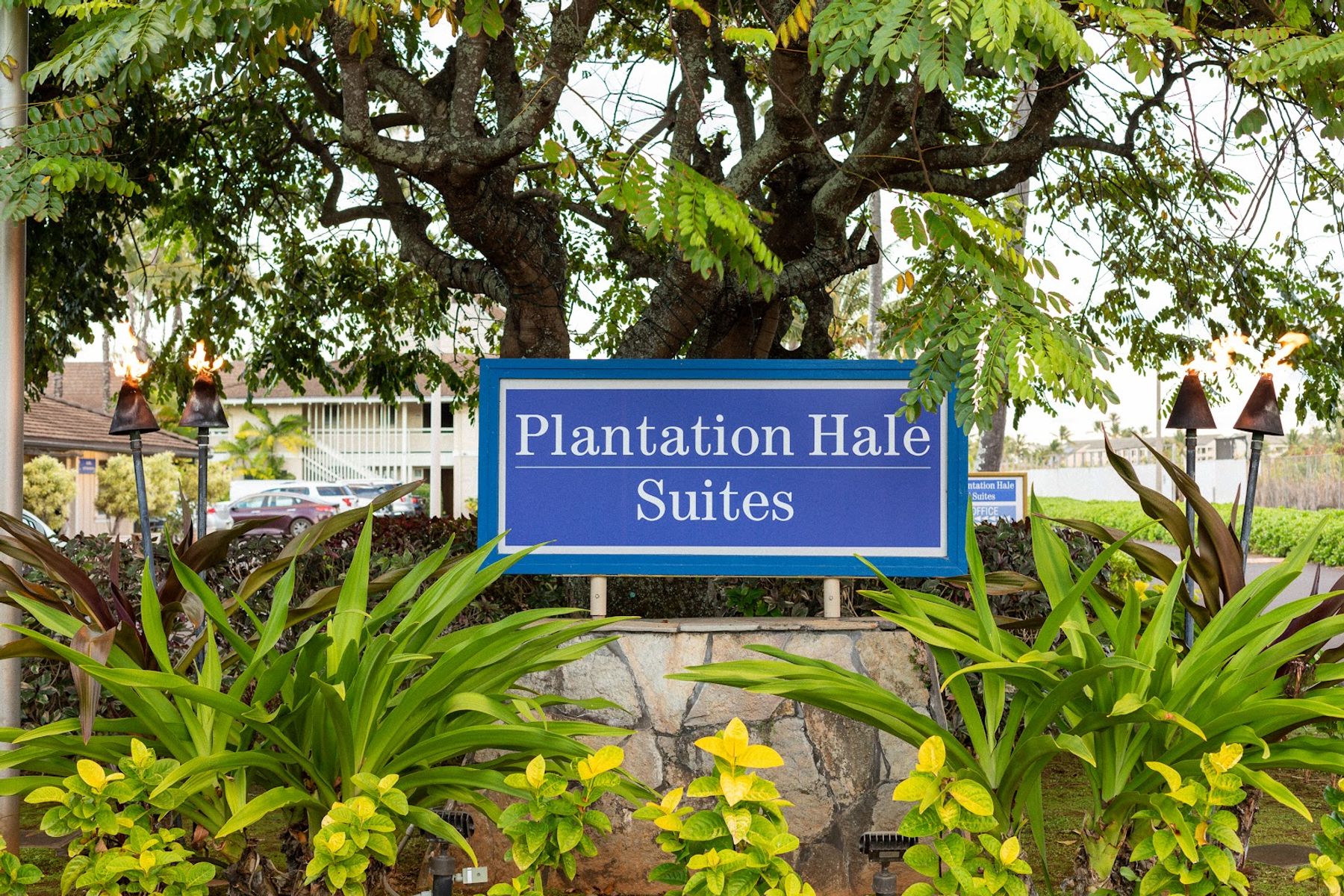 Plantation Hale Suites lodging in Kapaʻa, Kaua‘i photo 6