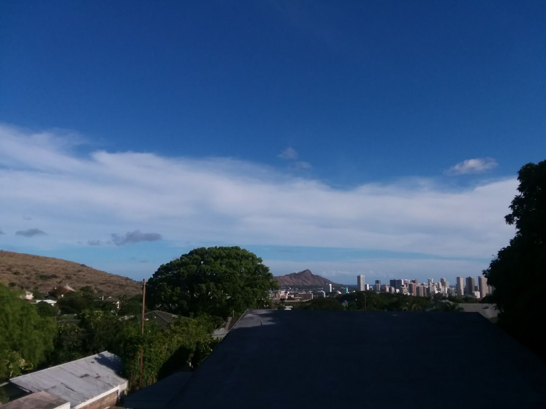 Photo 8 of Manoa Valley District Park in Mānoa, Makiki & Nuʻuanu, Oahu