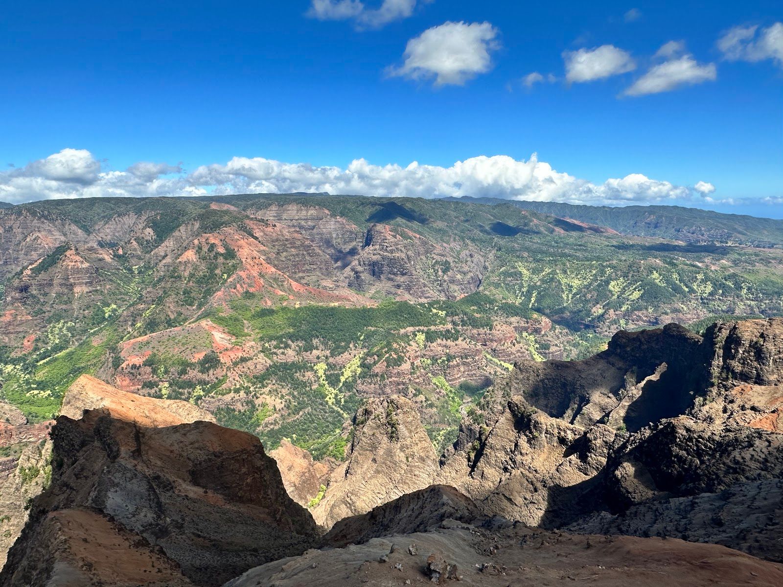 Waimea Canyon Lookout in Waimea, Kaua‘i