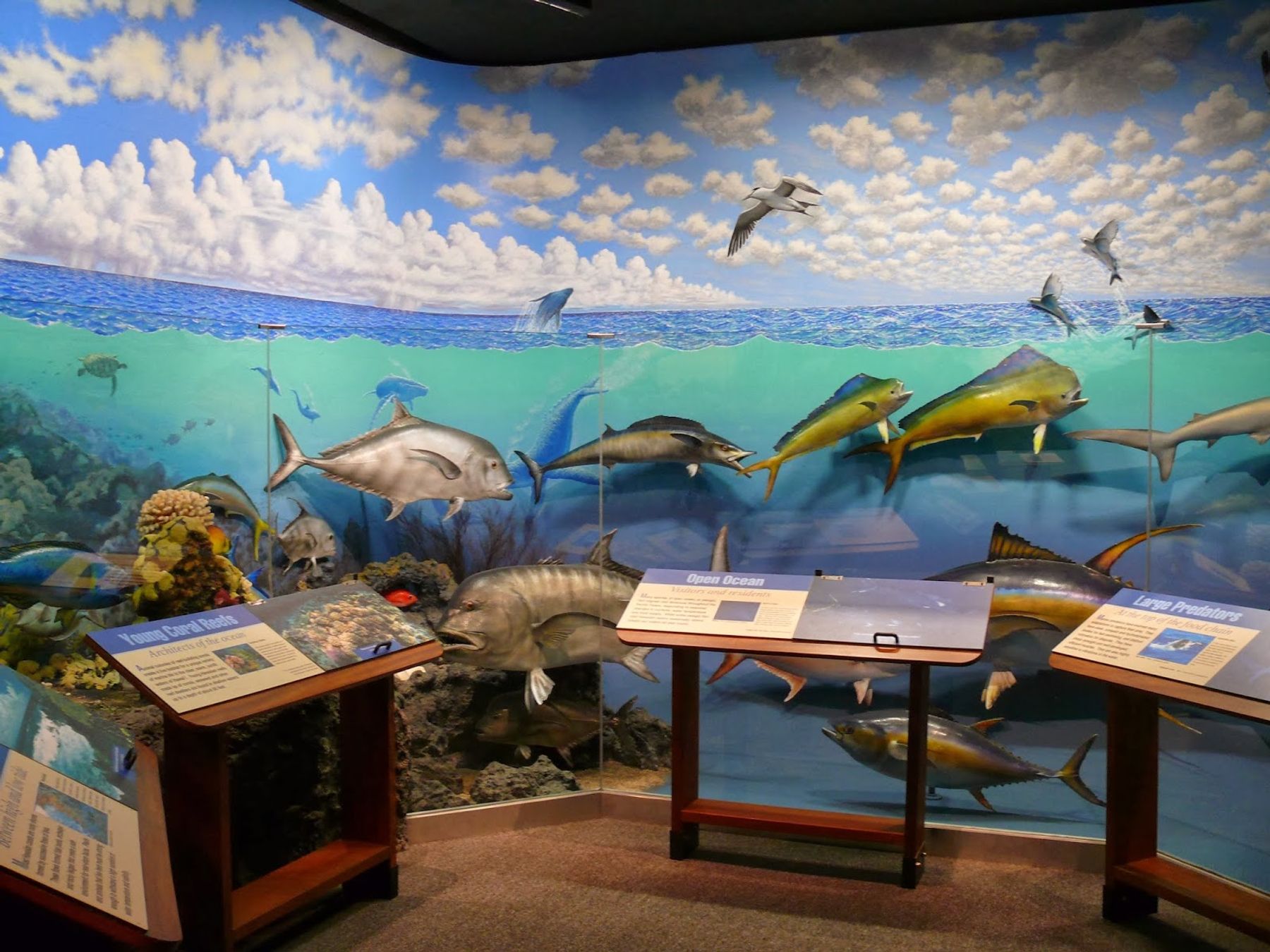 Photo 2 of Lyman Museum in Hilo, Big Island