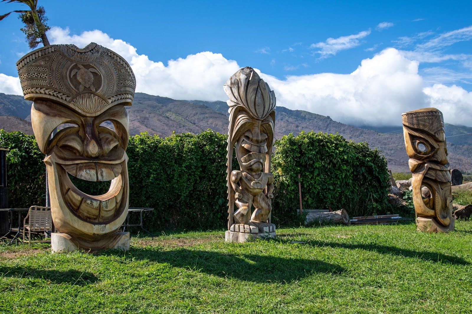 Photo 5 of The Coconut Inc in Māʻalaea, Maui