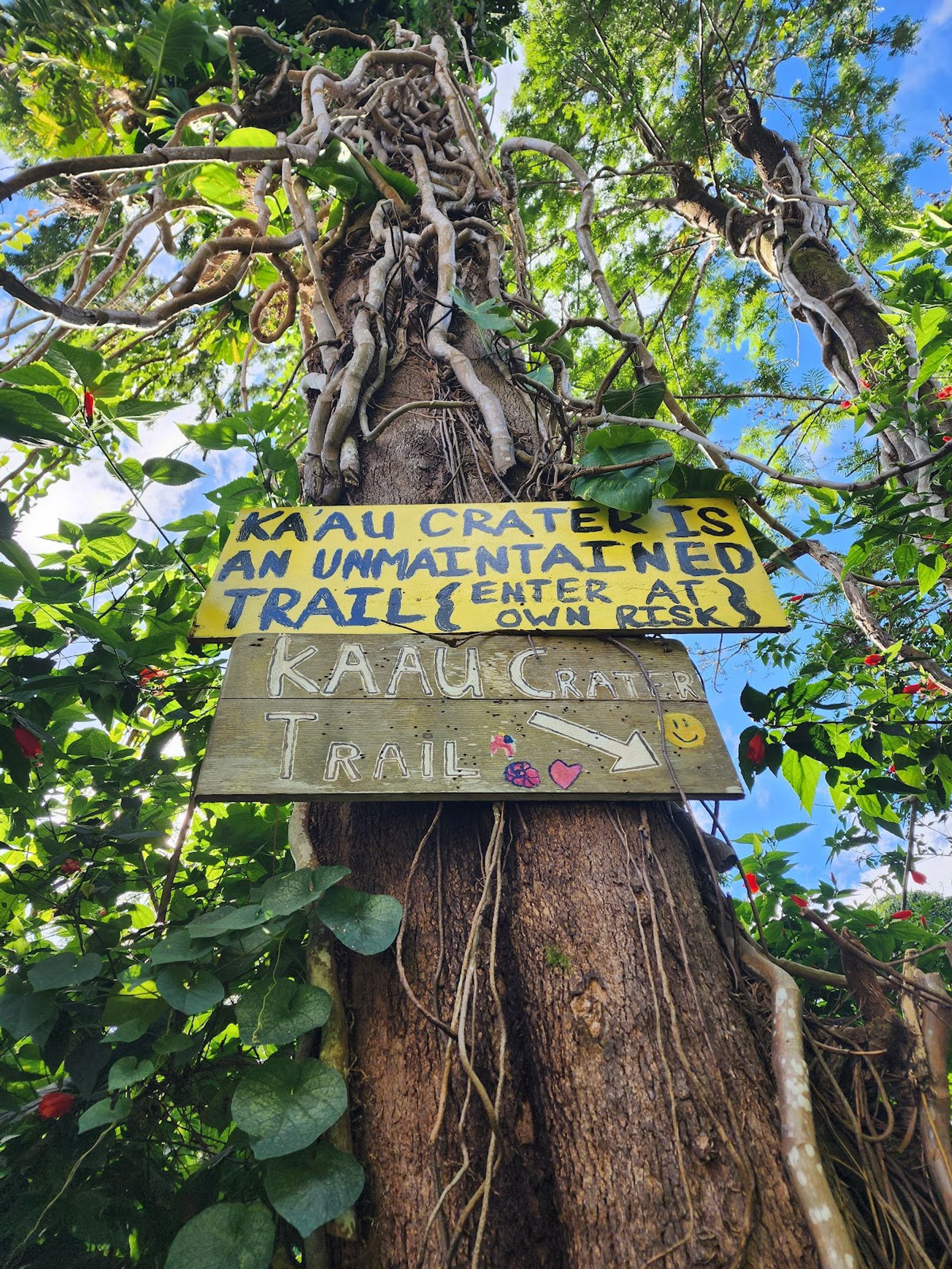 Photo 8 of Kaʻau Crater Trail in Kaimukī & Pālolo, Oahu