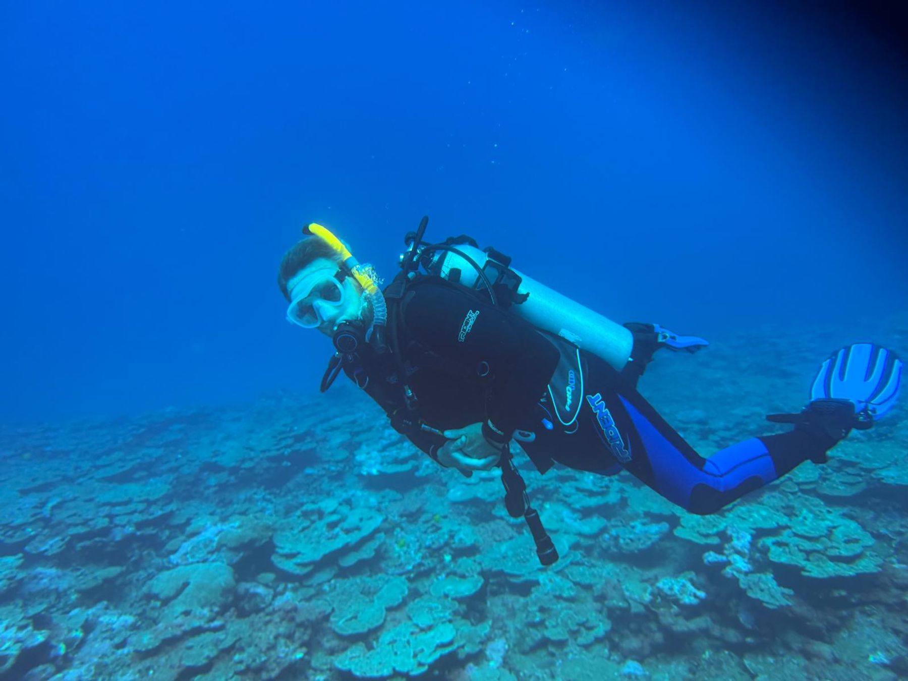 Photo 1 of Hilo Ocean Adventures in Hilo, Big Island