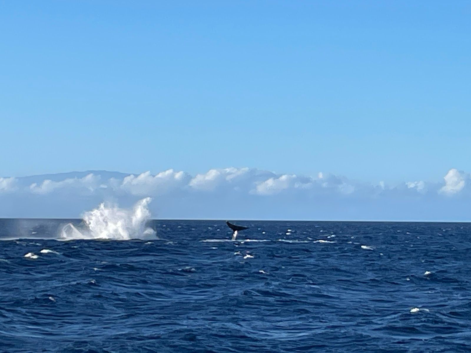 Photo 6 of Hawaii Nautical (Anaehoomalu Bay - Waikoloa) in Waikoloa, Big Island