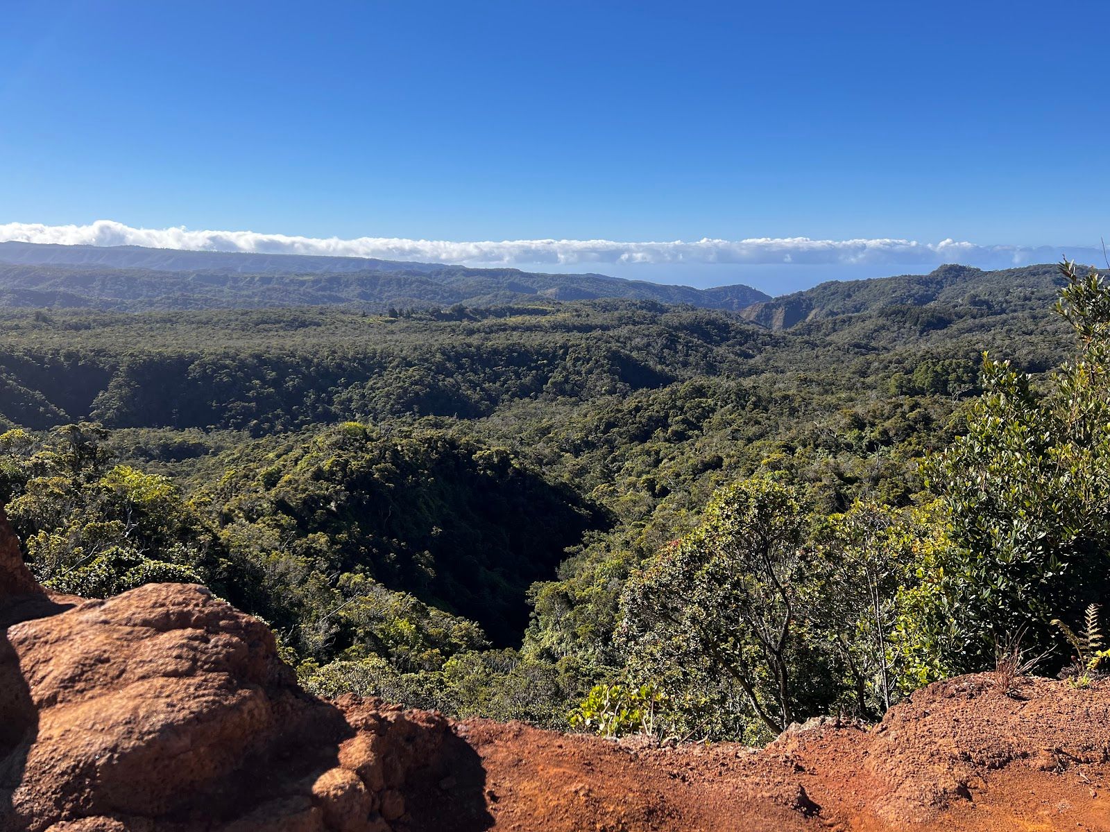 Pihea Trail in Hanapepe, Kaua‘i photo 2