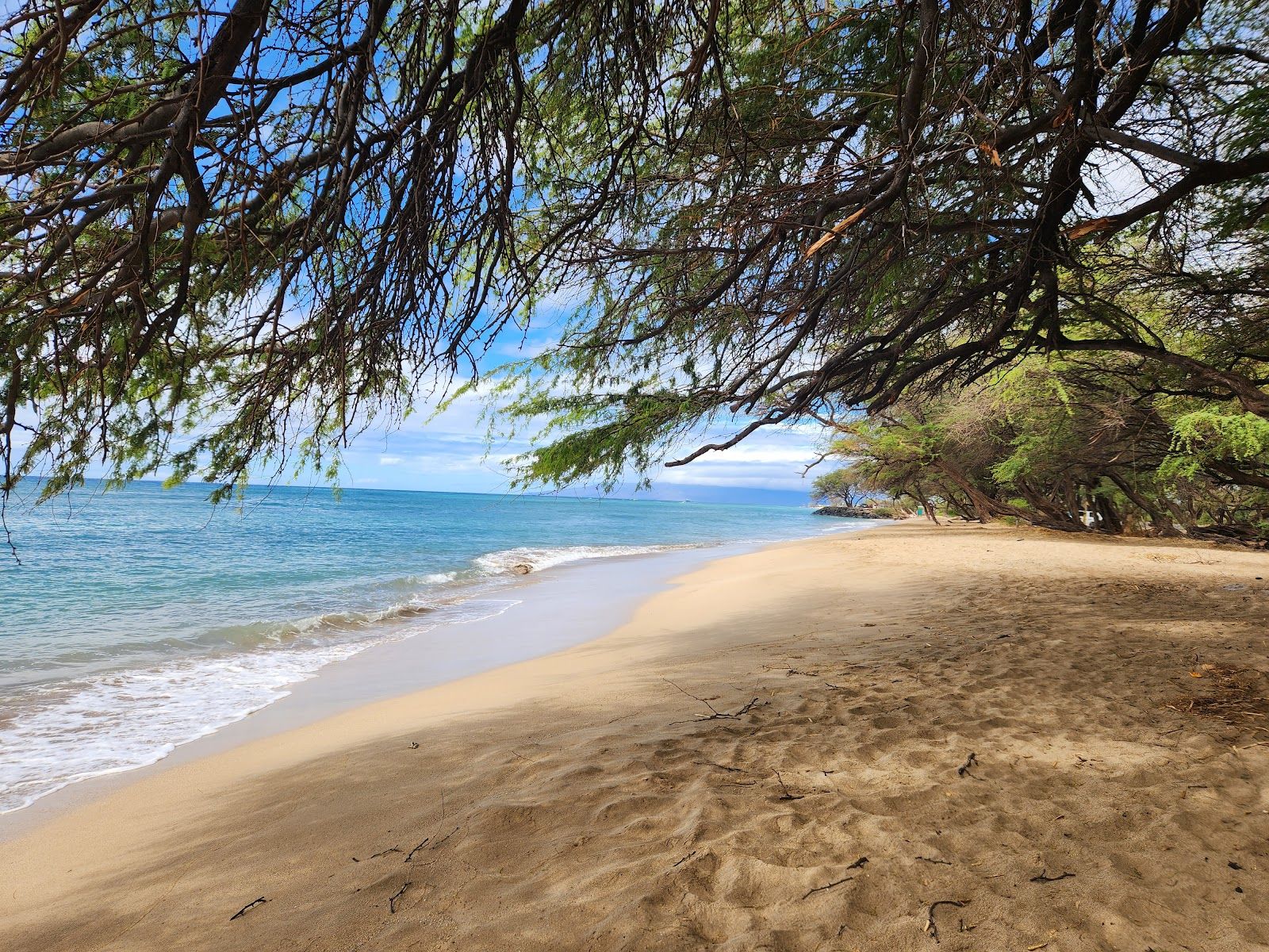 Photo 6 of Pāpalaua Wayside Park in Olowalu, Maui