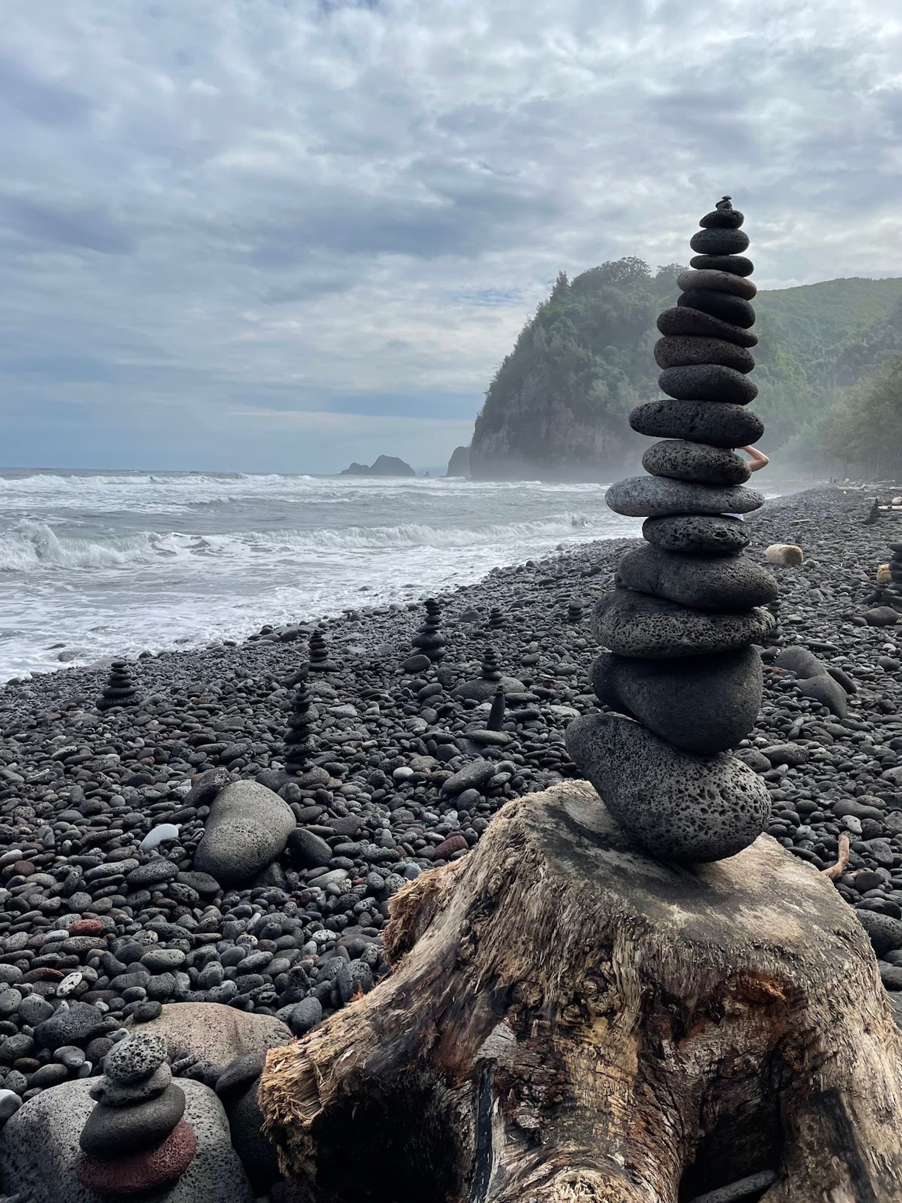 Photo 5 of Pololu Trail in North Kohala, Big Island