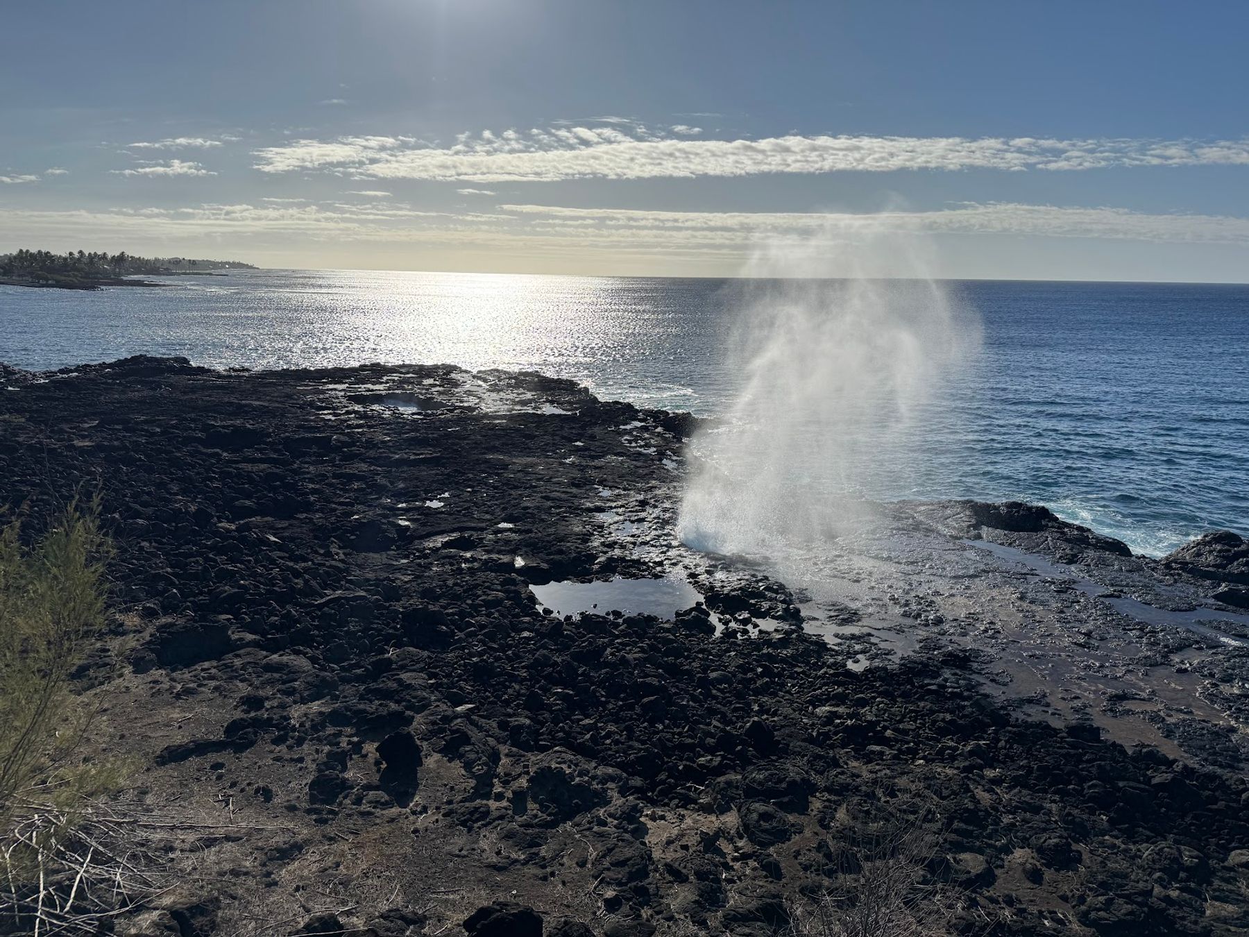 BikeIt Poipu Ebike Tours in Kōloa, Kaua‘i photo 4