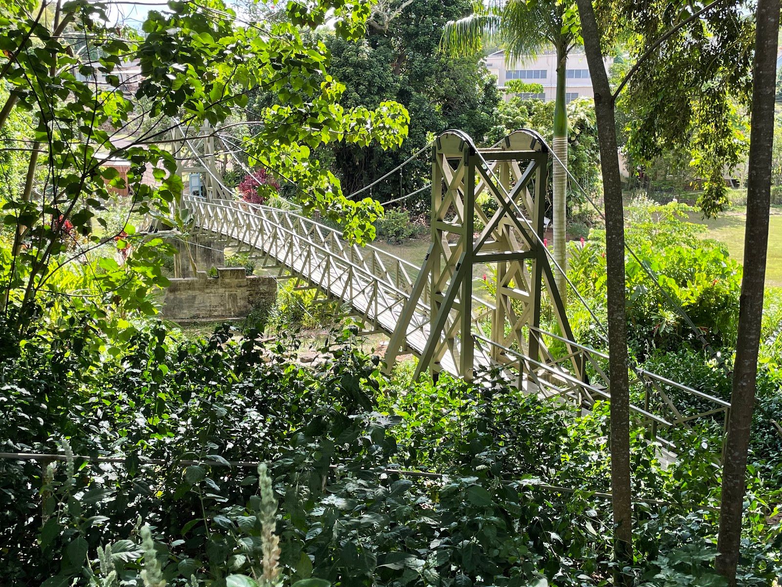 Kapaia Swinging Bridge in Lihue, Kaua‘i photo 2