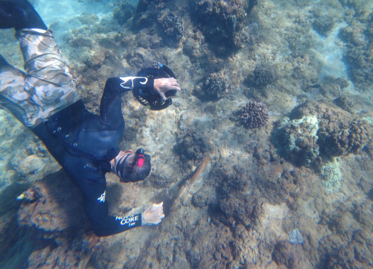 Photo 5 of My Splash Maui - Sea Scooter Snorkeling Tour in Wailea, Maui