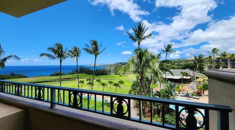 view from a balcony at the Ritz Carlton