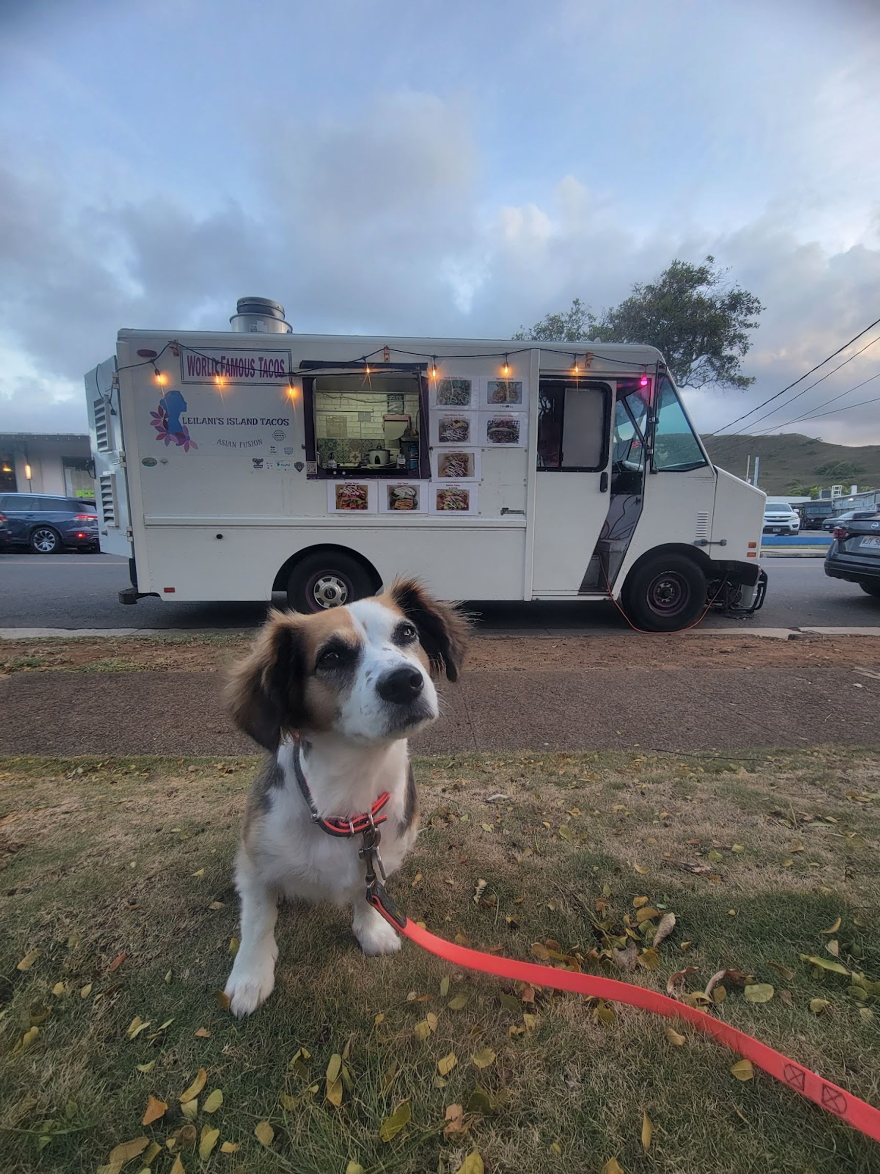 Photo 6 of Leilani's Island Tacos in Kailua & Lanikai, Oahu