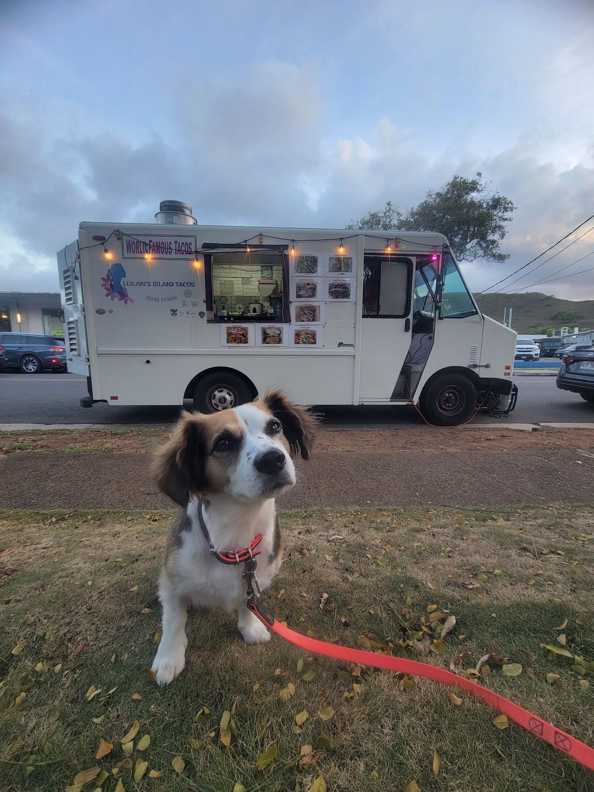 Photo 6 of Leilani's Island Tacos in Kailua & Lanikai, Oahu