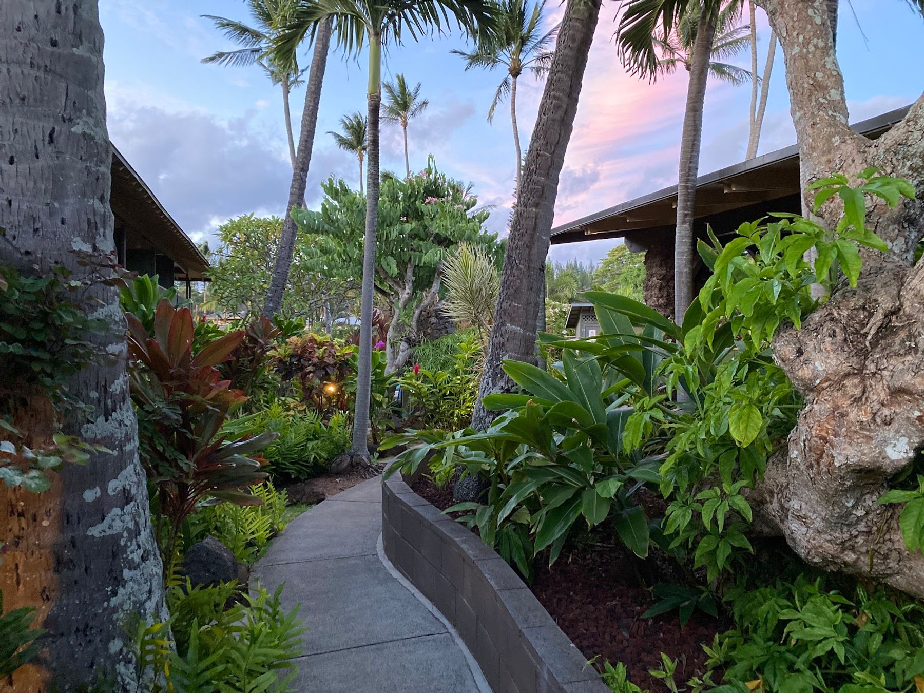 Photo 9 of Napili Village Hotel in Kapalua, Maui