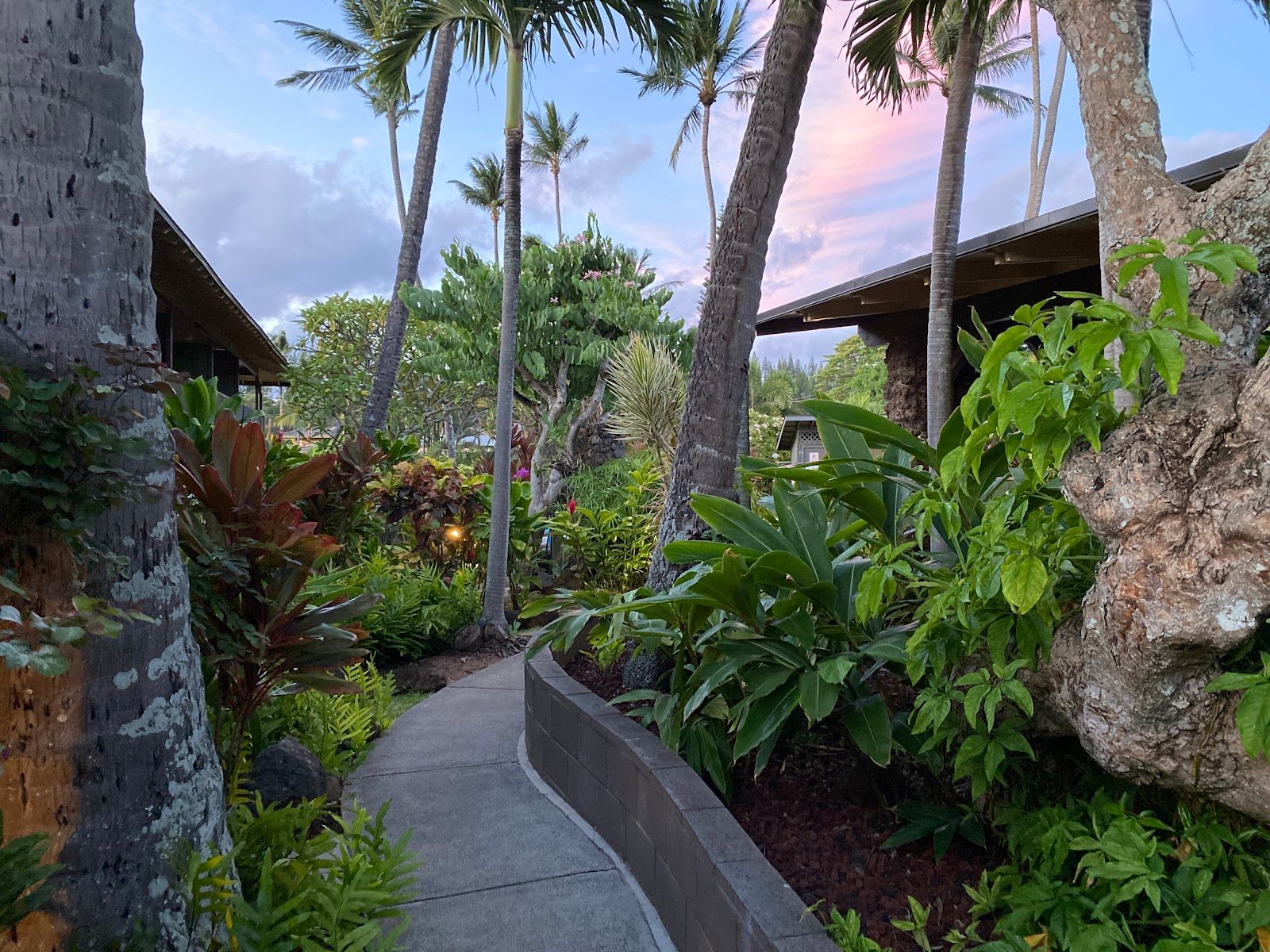 Photo 9 of Napili Village Hotel in Kapalua, Maui