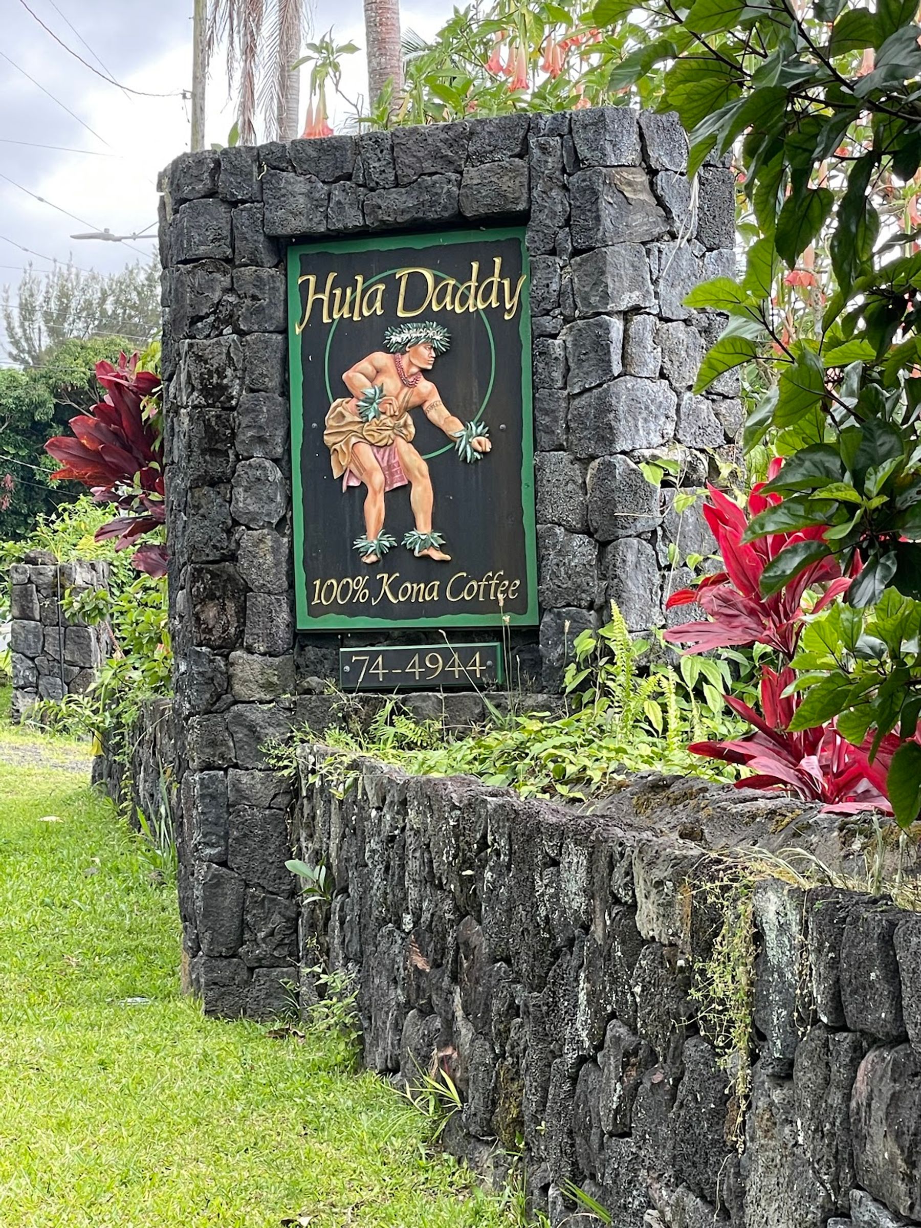 Photo 6 of Hula Daddy Kona Coffee in Hōlualoa, Big Island