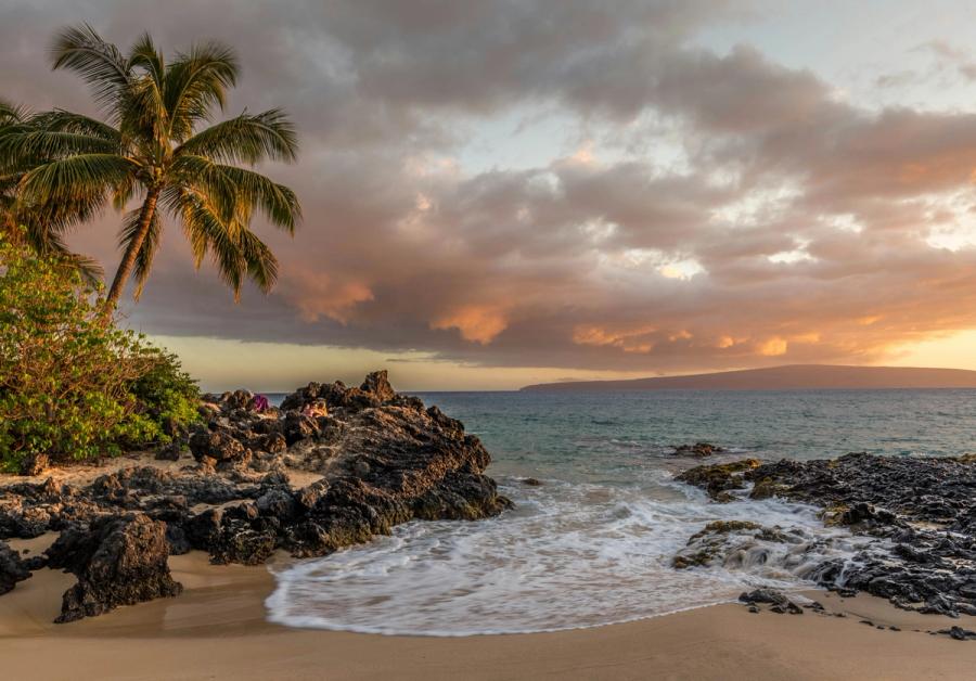 Palm tree over a rocky shoreline as waves wash onto a sandy beach at sunset in Wailea, Maui.