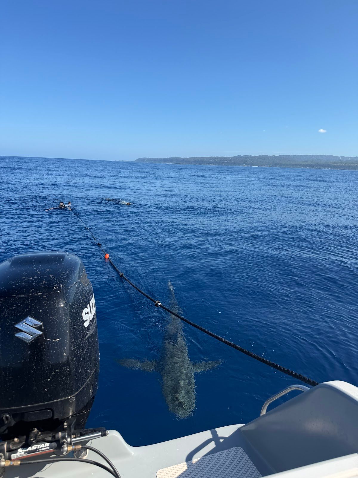 Photo 7 of Hawaii Adventure Diving in Haleʻiwa, Oahu