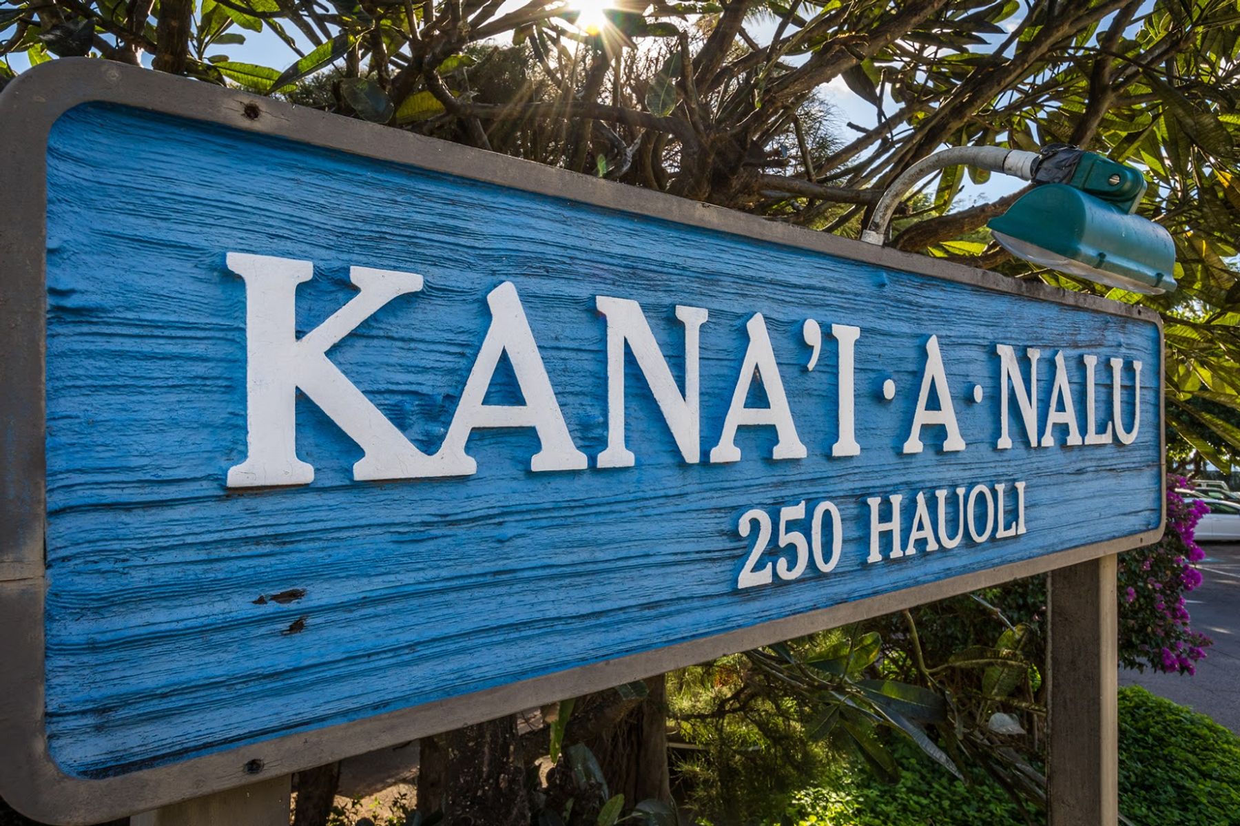Photo 9 of Kanaʻi A Nalu in Māʻalaea, Maui