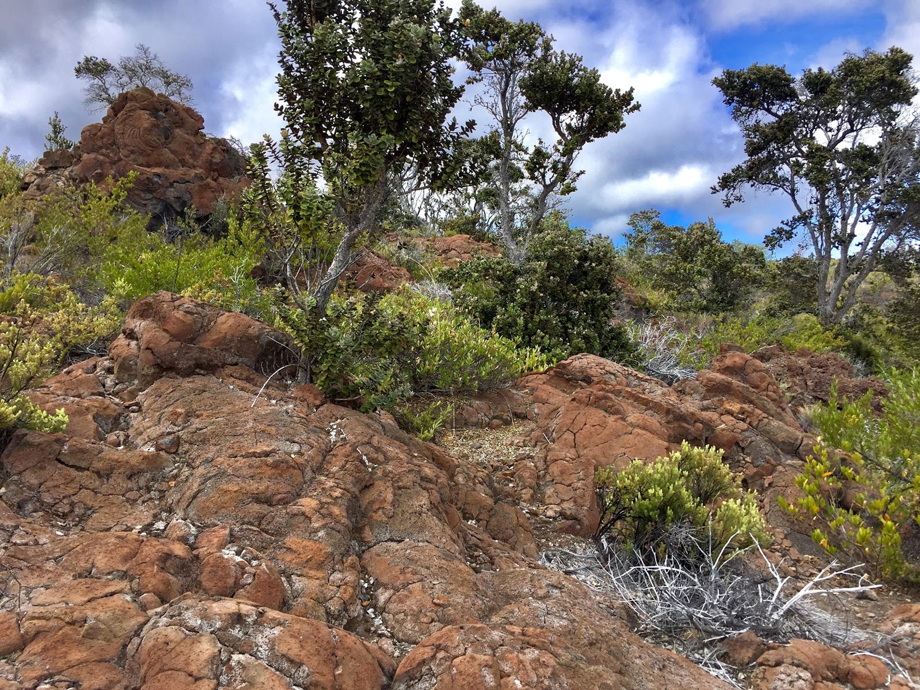 Photo 5 of Mauna Loa Lookout in Mauna Loa Summit, Big Island