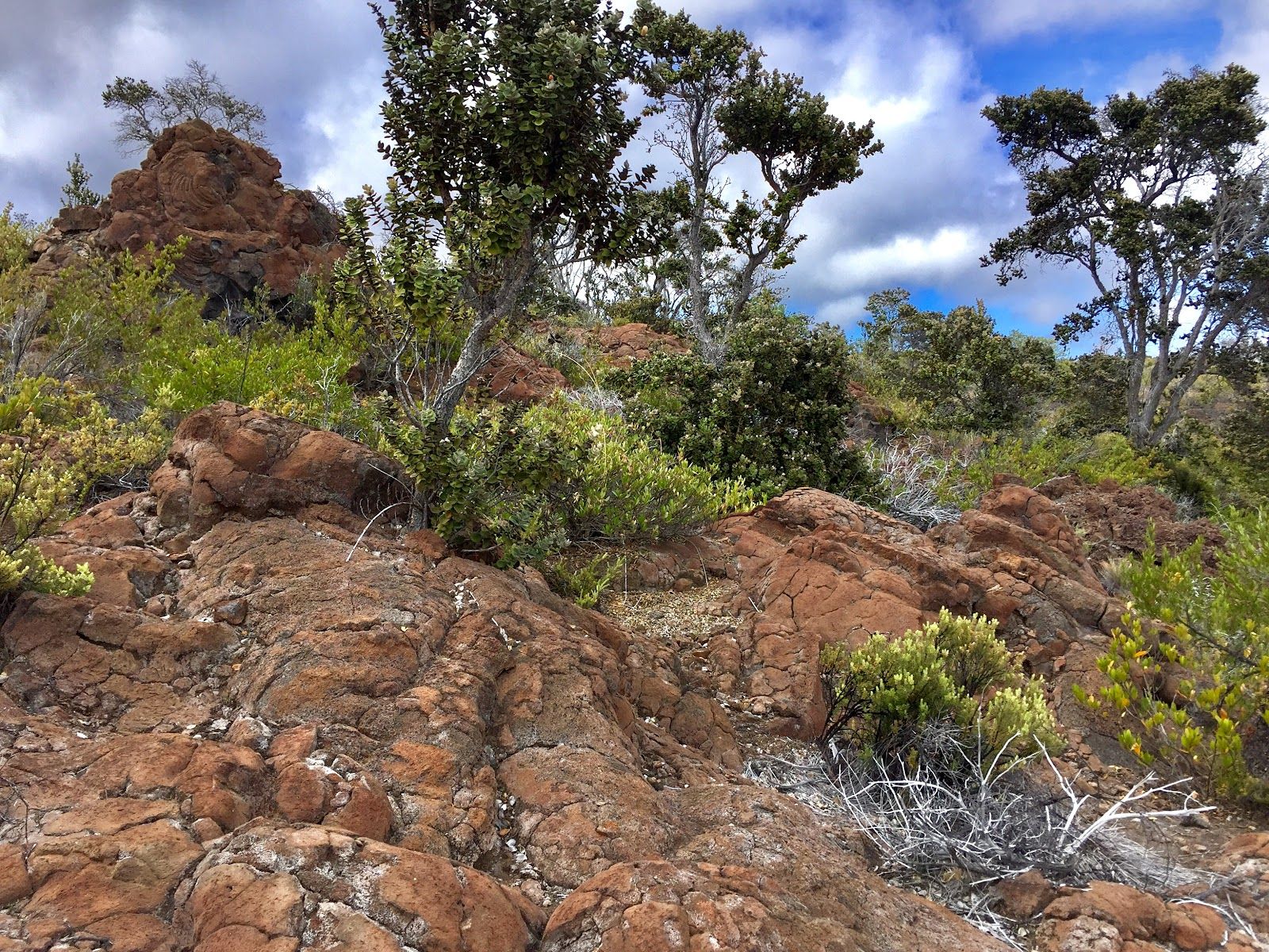 Photo 5 of Mauna Loa Lookout in Mauna Loa Summit, Big Island