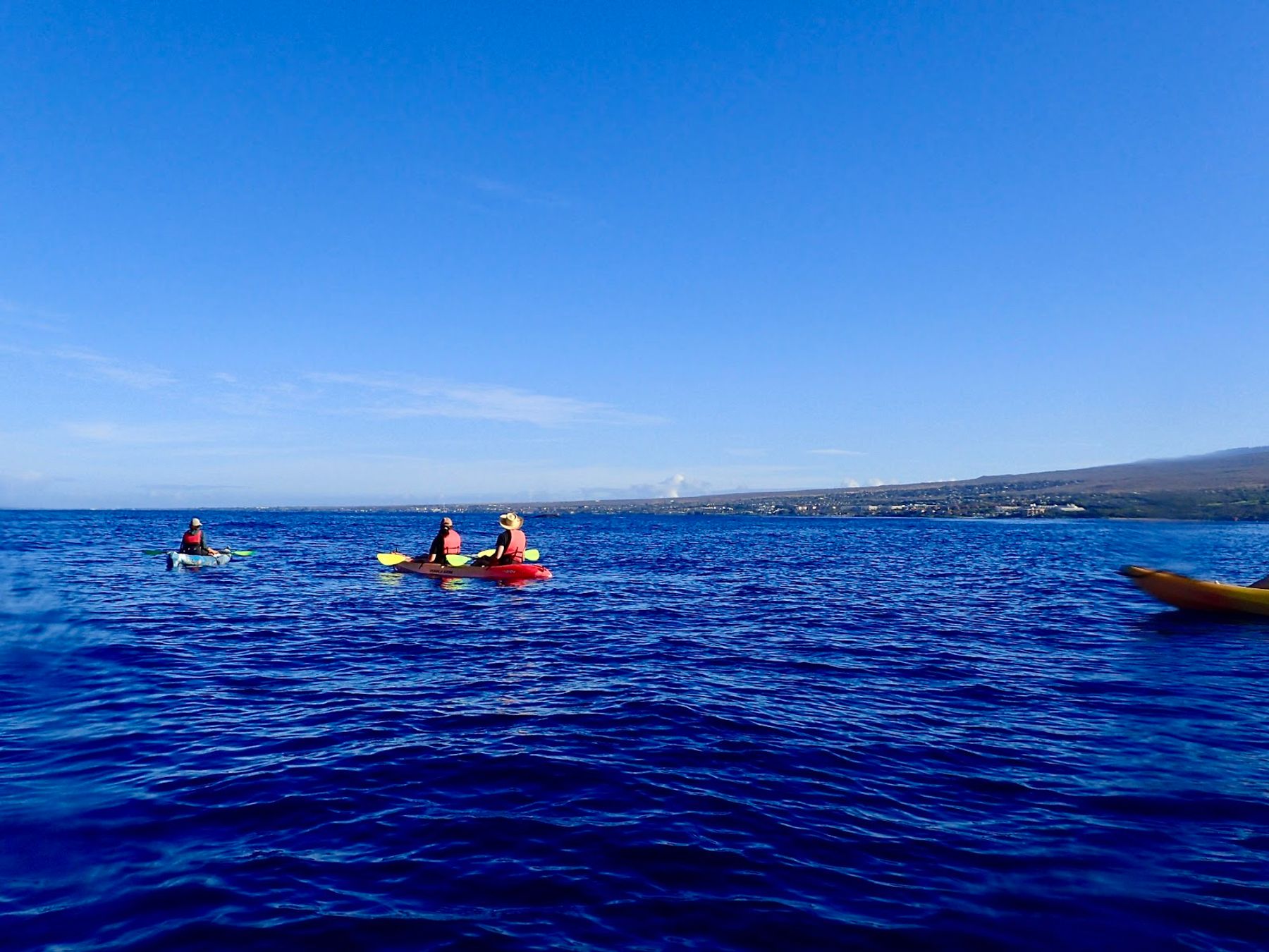 Photo 3 of Hawaiian Paddle Sports LLC in Kīhei, Maui