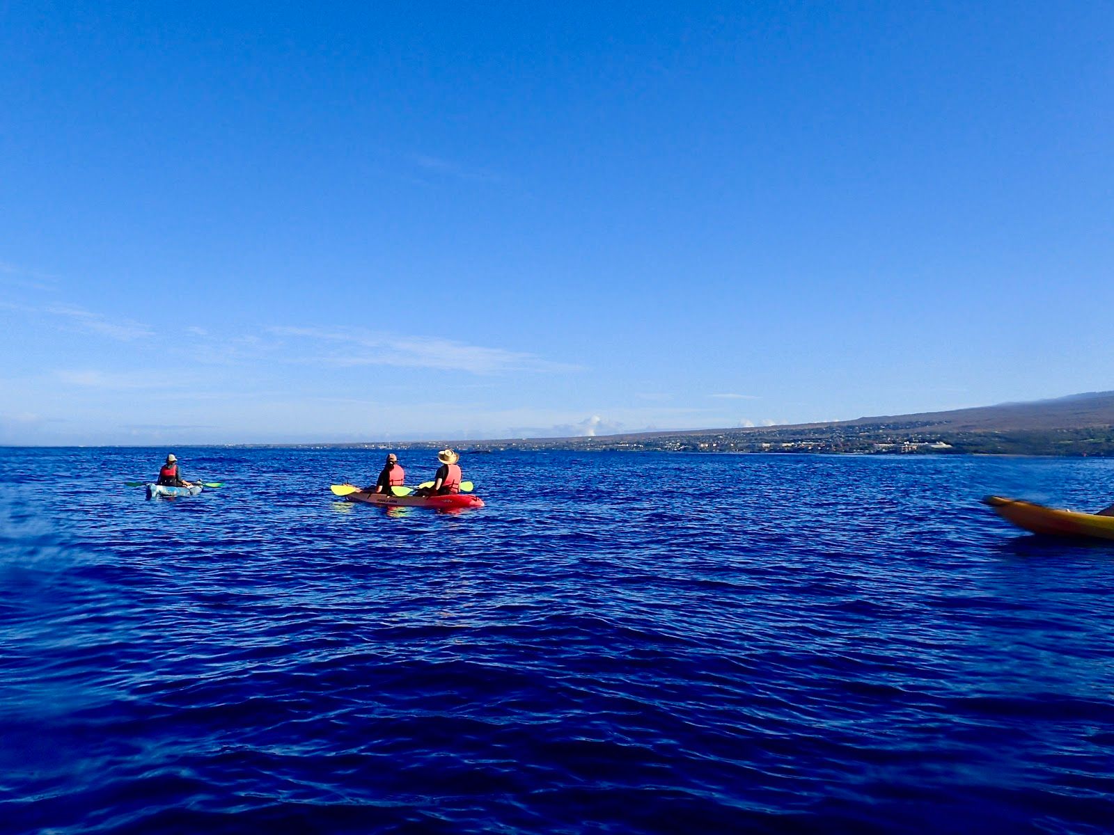 Photo 3 of Hawaiian Paddle Sports LLC in Kīhei, Maui