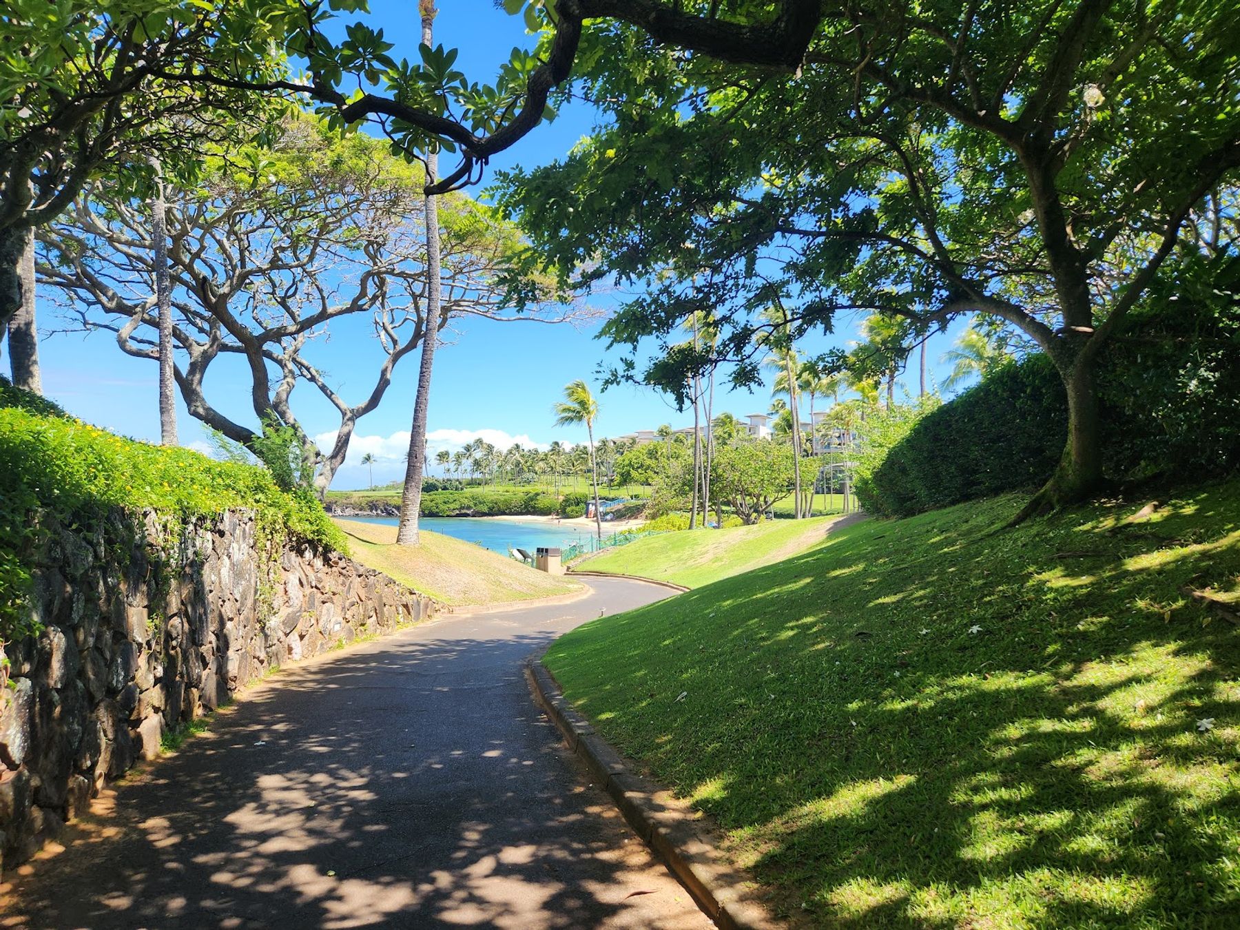 Photo 8 of Kapalua Coastal Trail in Kapalua, Maui