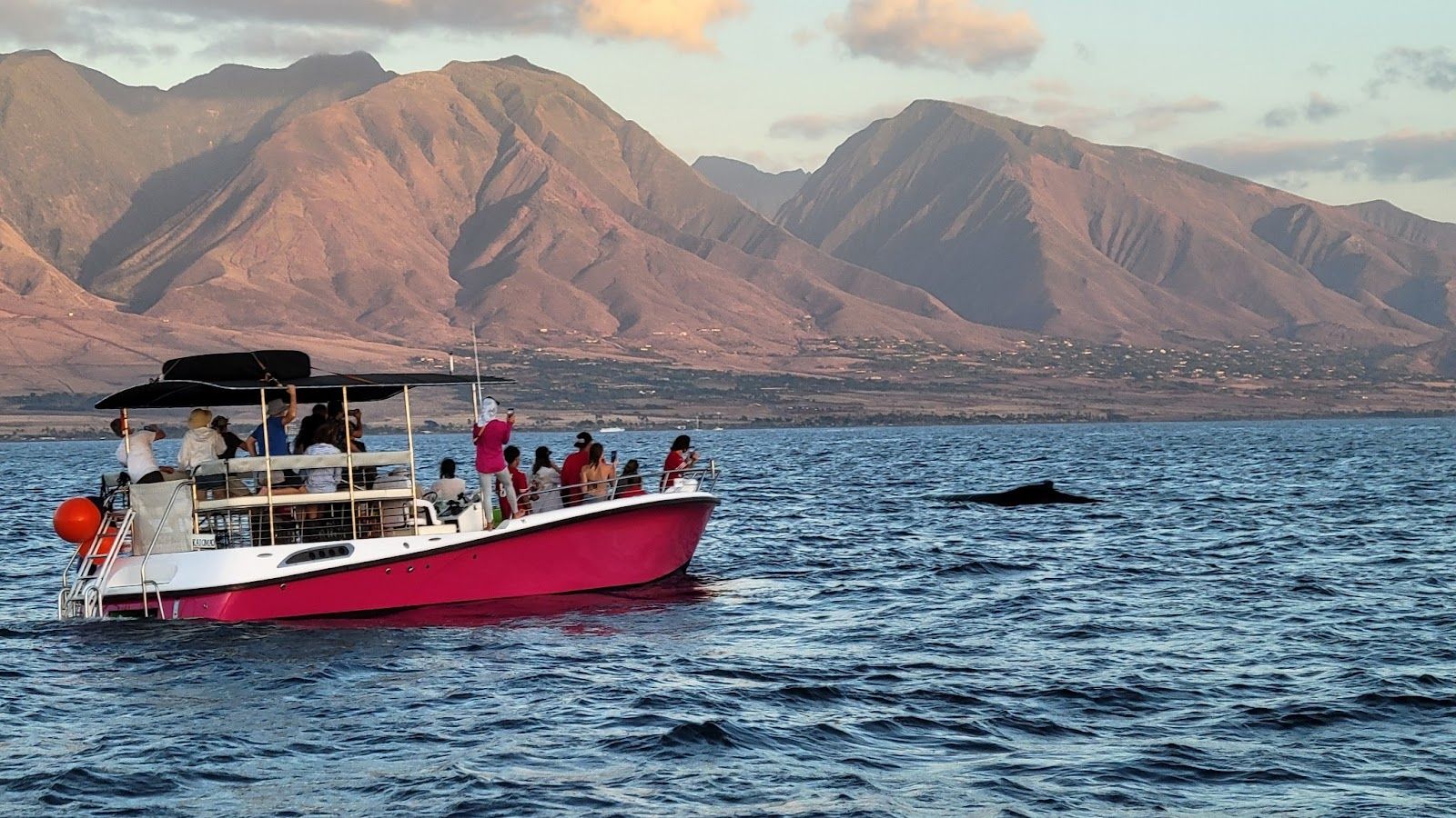 Photo 1 of Maui Ocean Adventures in Lāhainā, Maui