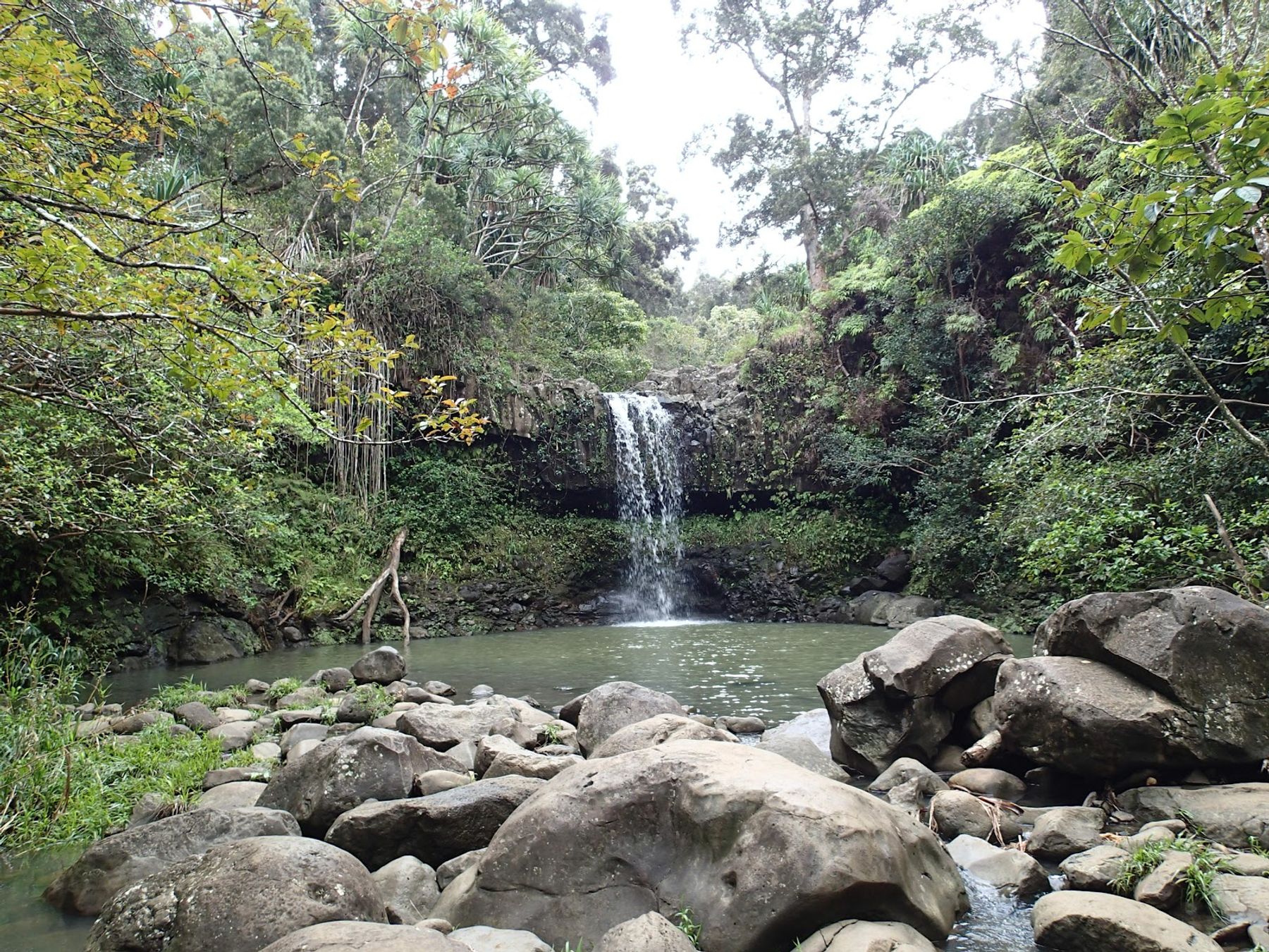 Photo 6 of Twin Falls Maui in Haʻikū, Maui
