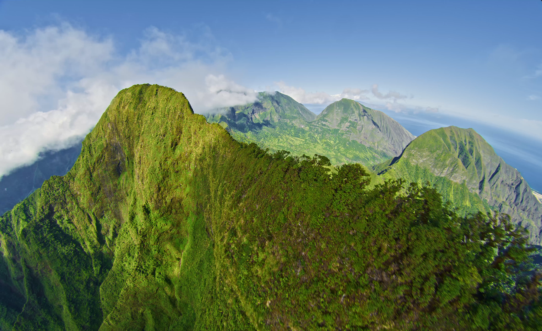 Photo 7 of Flight of Aloha in Kailua-Kona, Big Island