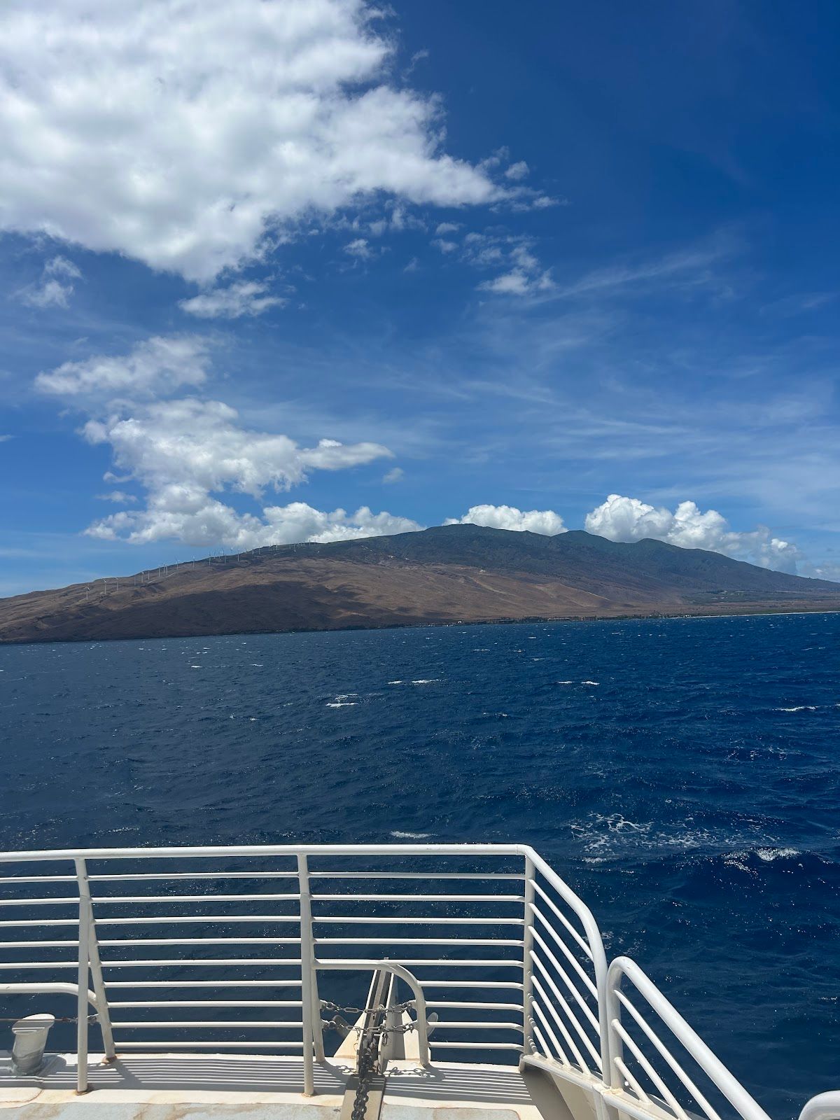 Photo 8 of PacWhale Eco-Adventures in Māʻalaea, Maui